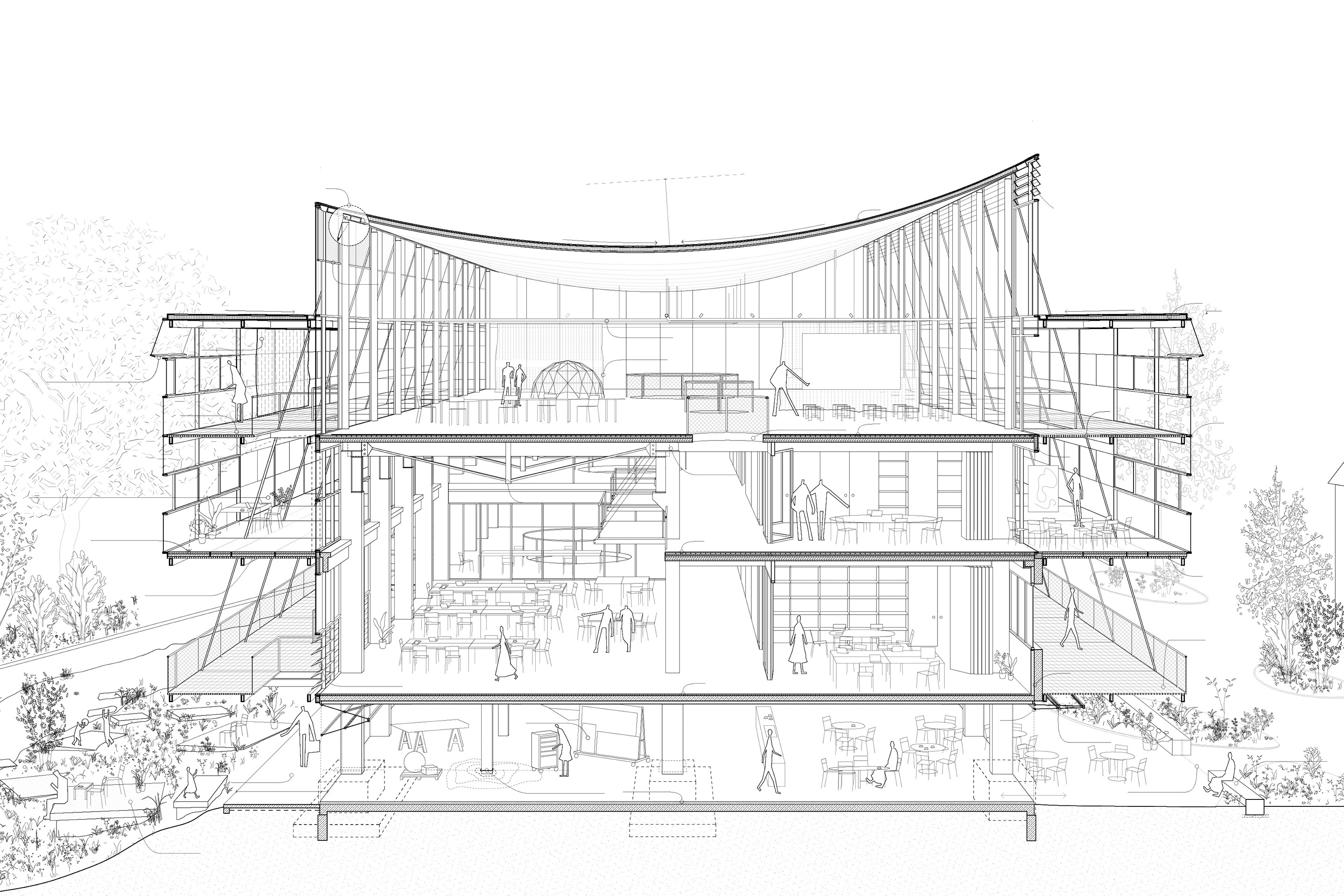 Perspective section