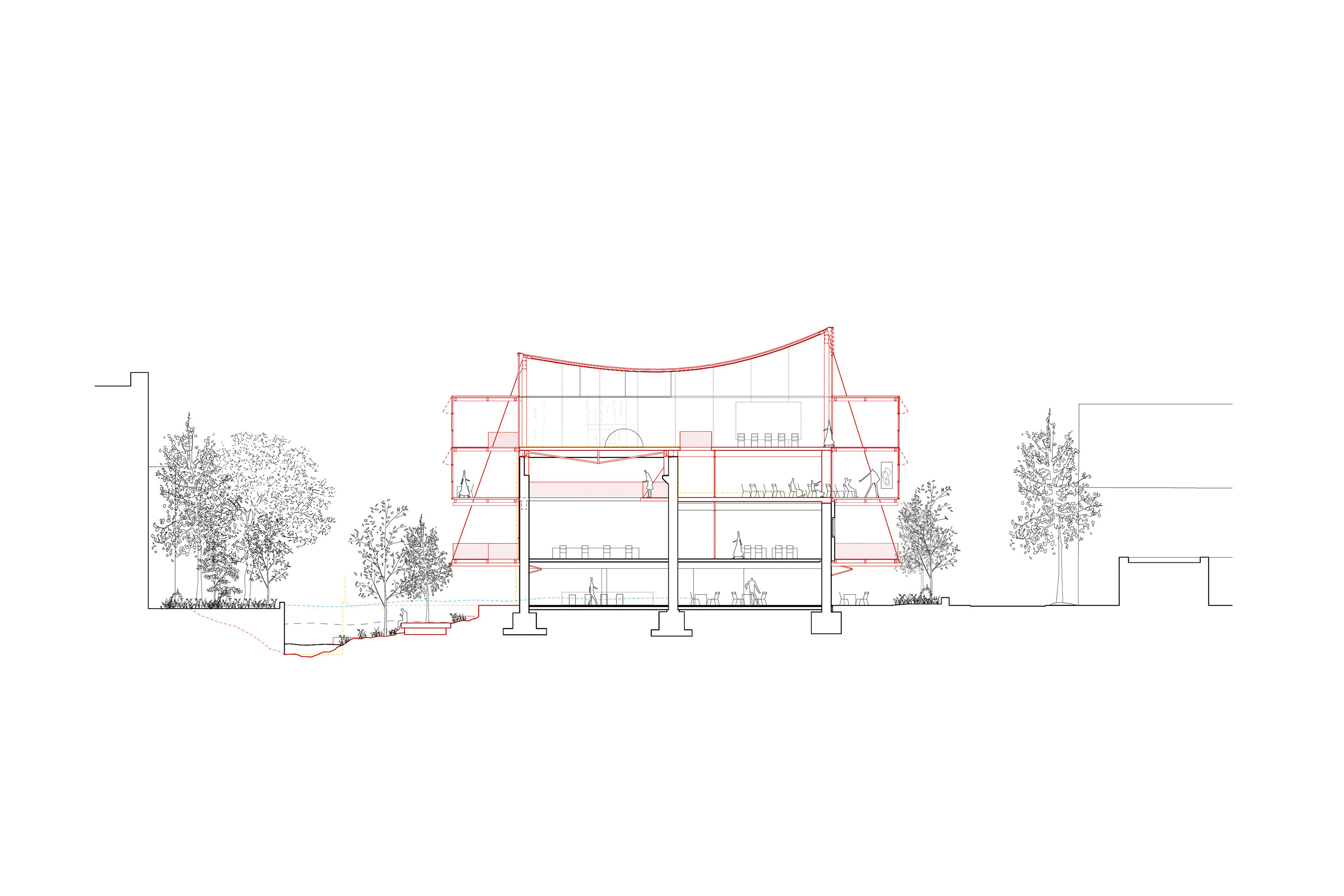 Architekturschule Siegel (D) 2024 FAKT + Gustav Düsing Landscape arch. Bureau B+ Eng. sbp - schlaich bergermann partner Transformation project of the old printing house into a school of architecture, cross section