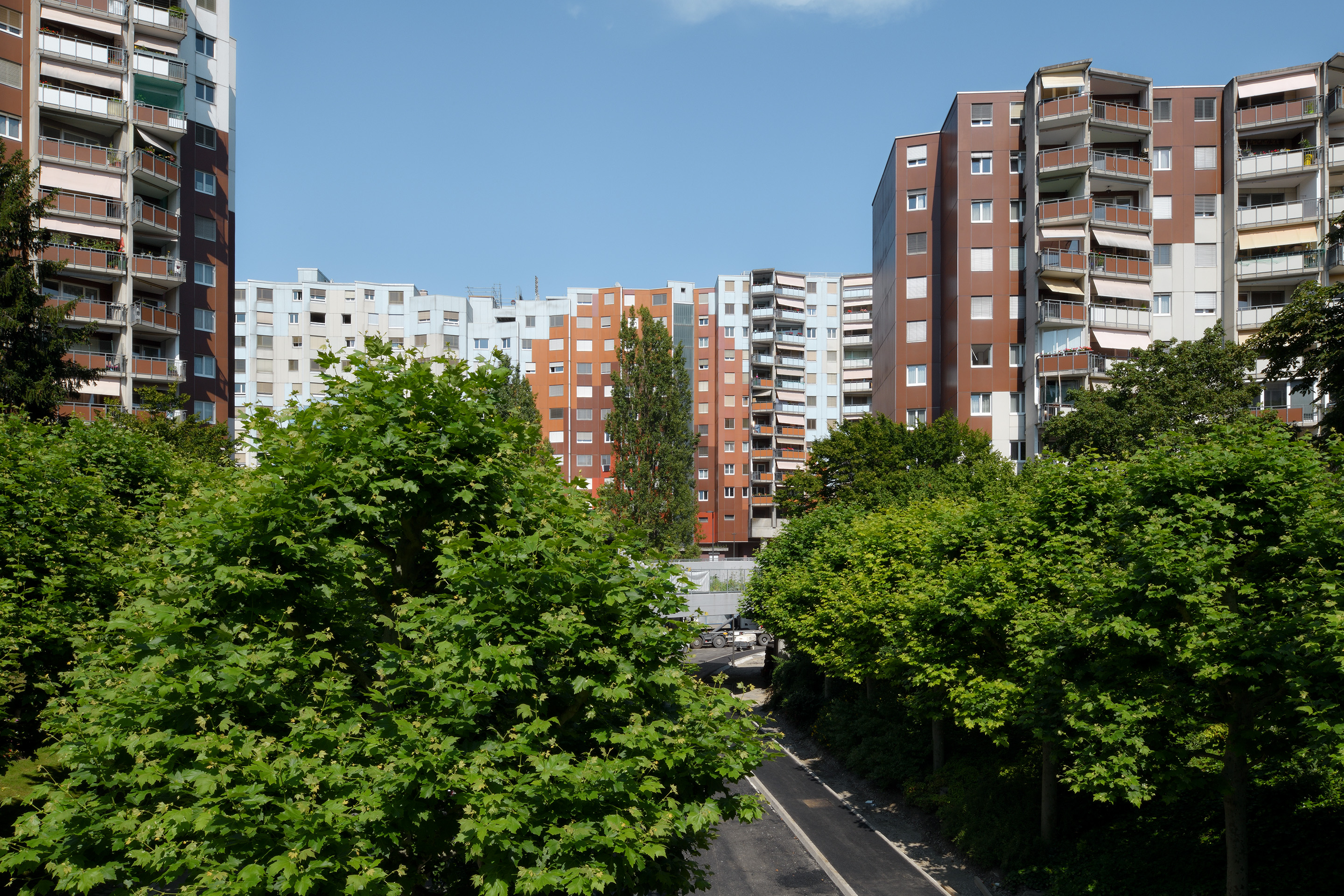AVANCHETS-photo1-Merlini-03.jpg