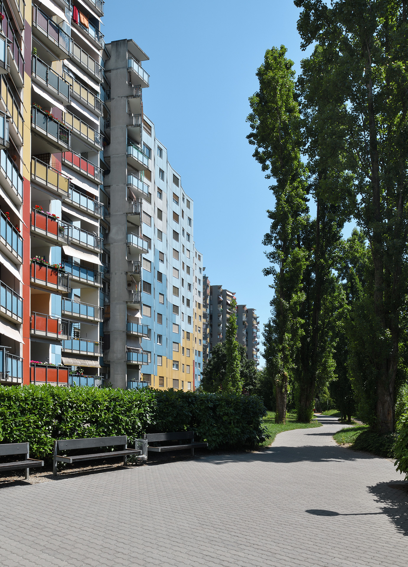 AVANCHETS-photo3-Merlini-05.jpg