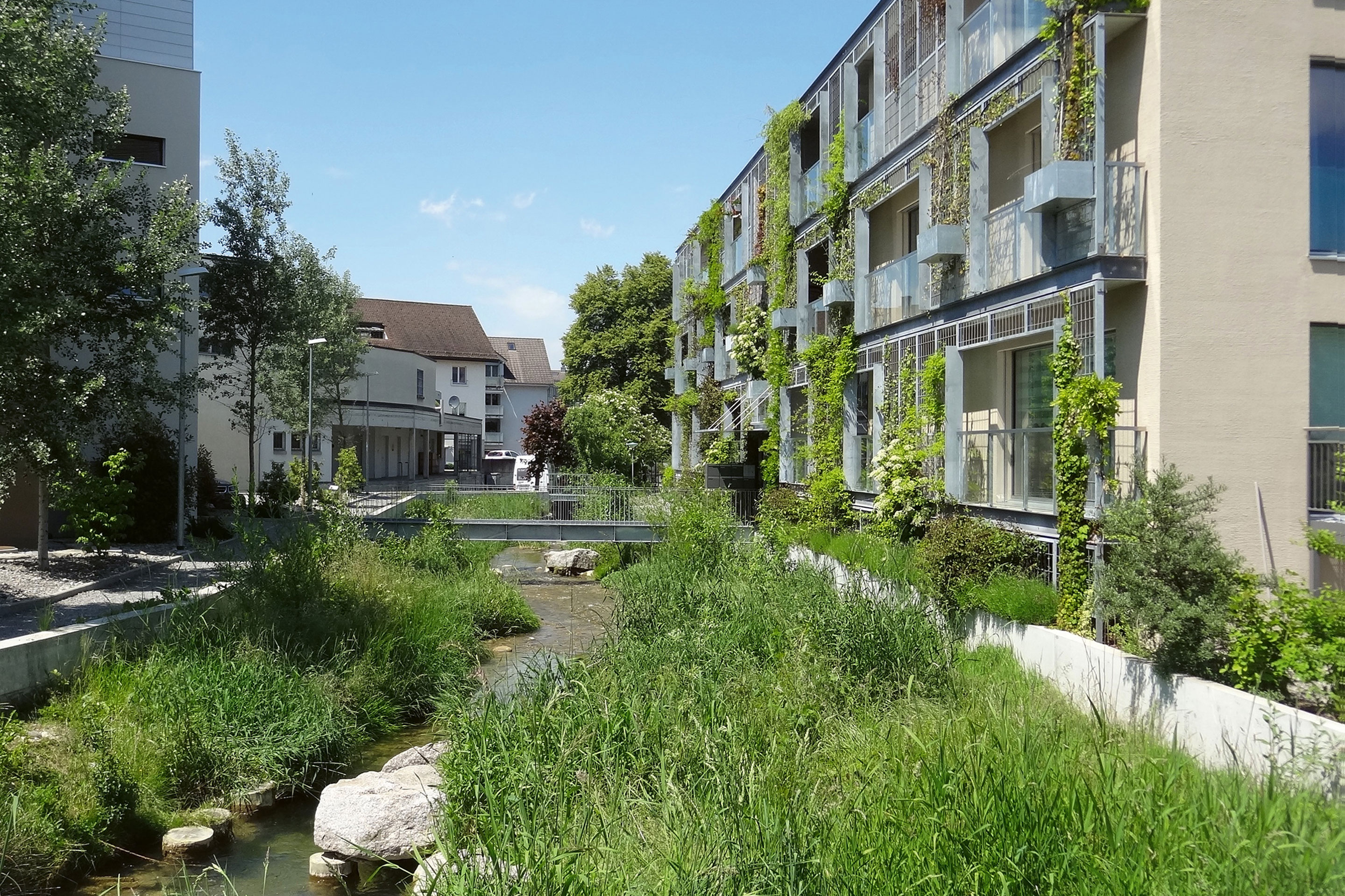 Bei der Überbauung in Villmergen wurde das Potenzial für Biodiversität ­ausgeschöpft.