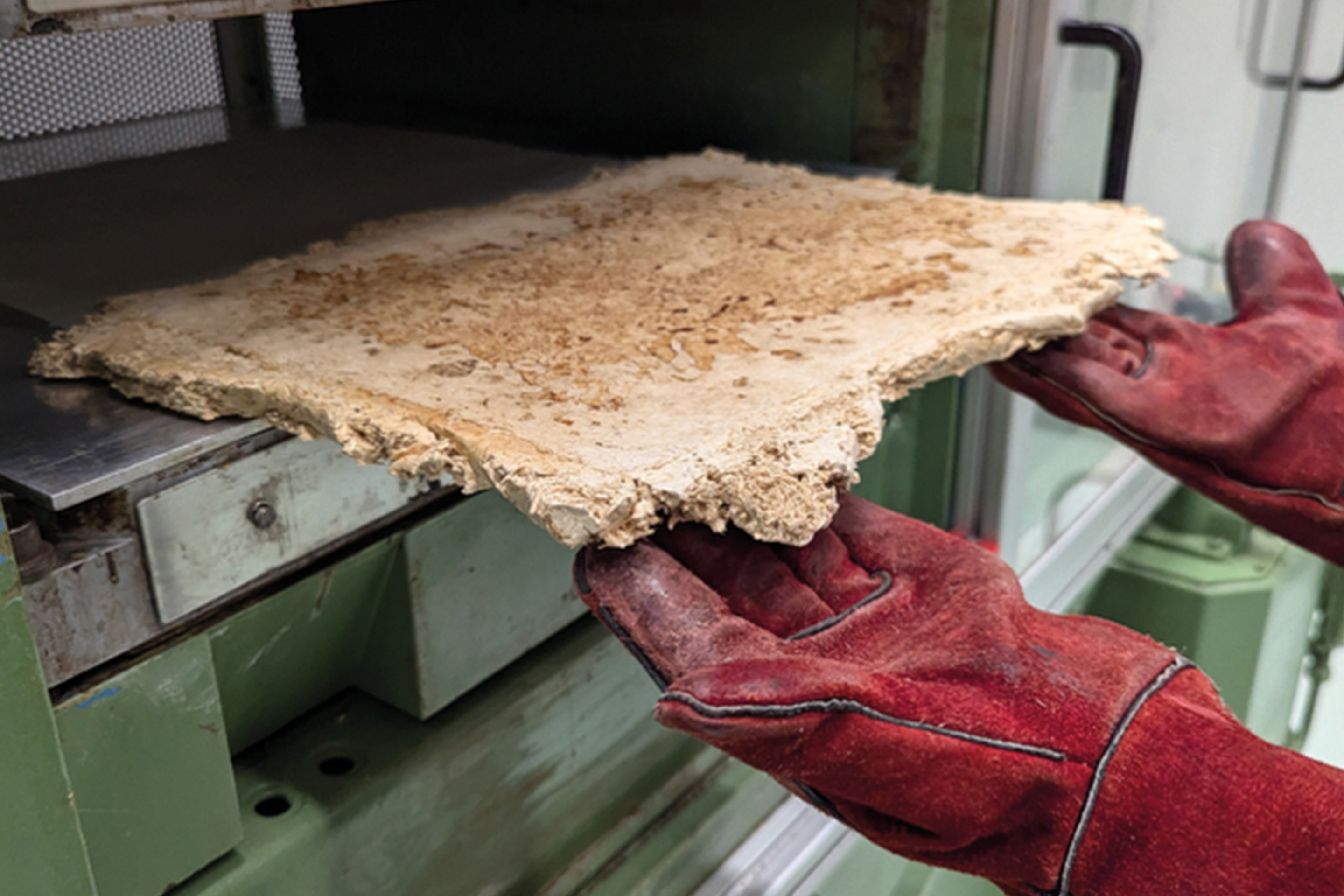 Future Cities Laboratory: Removal of a high-density mycelium board from a heat press which is later tested for structural performance as an alternative to popular engineered wood products.