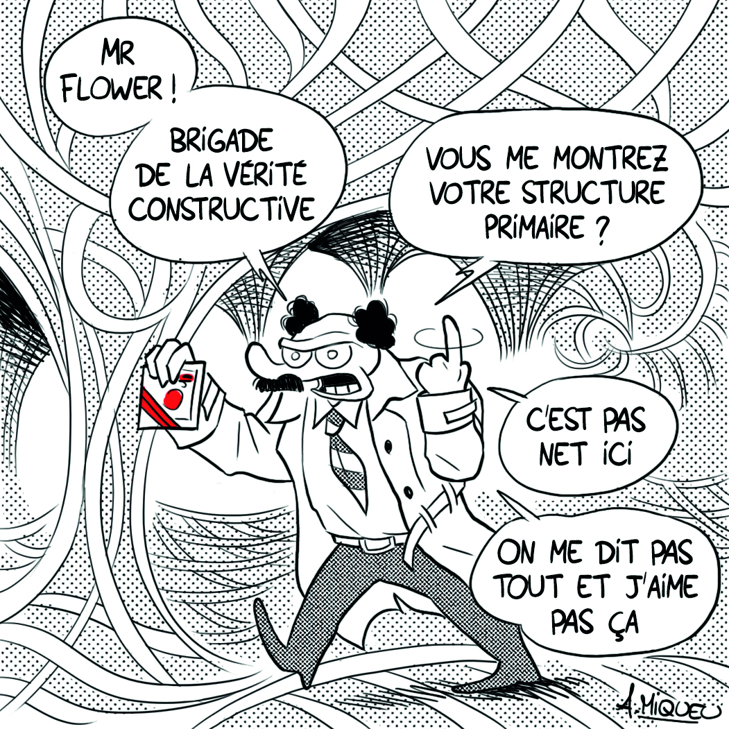 Vérité constructive