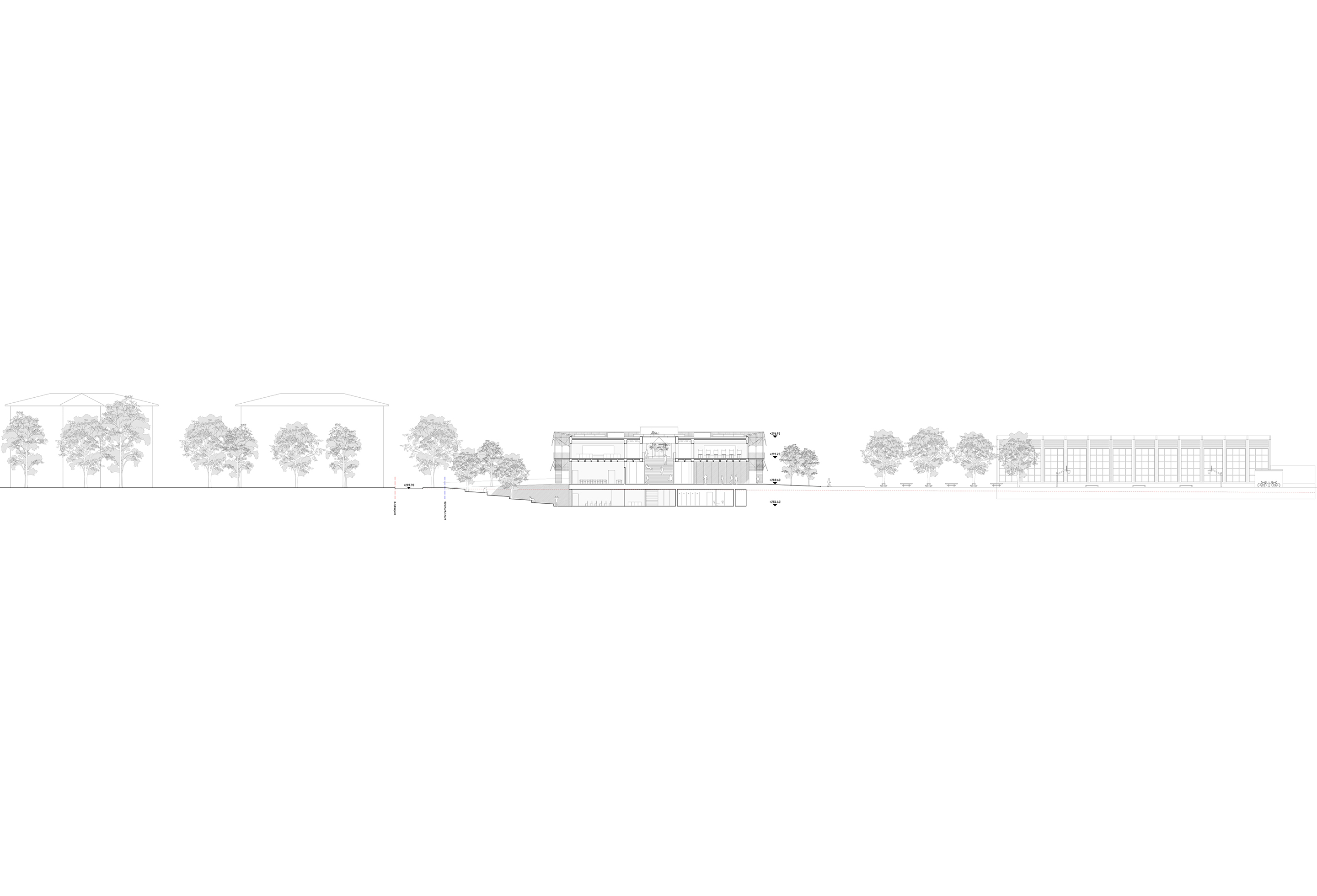 casa-sull'albero-sezione-trasversale