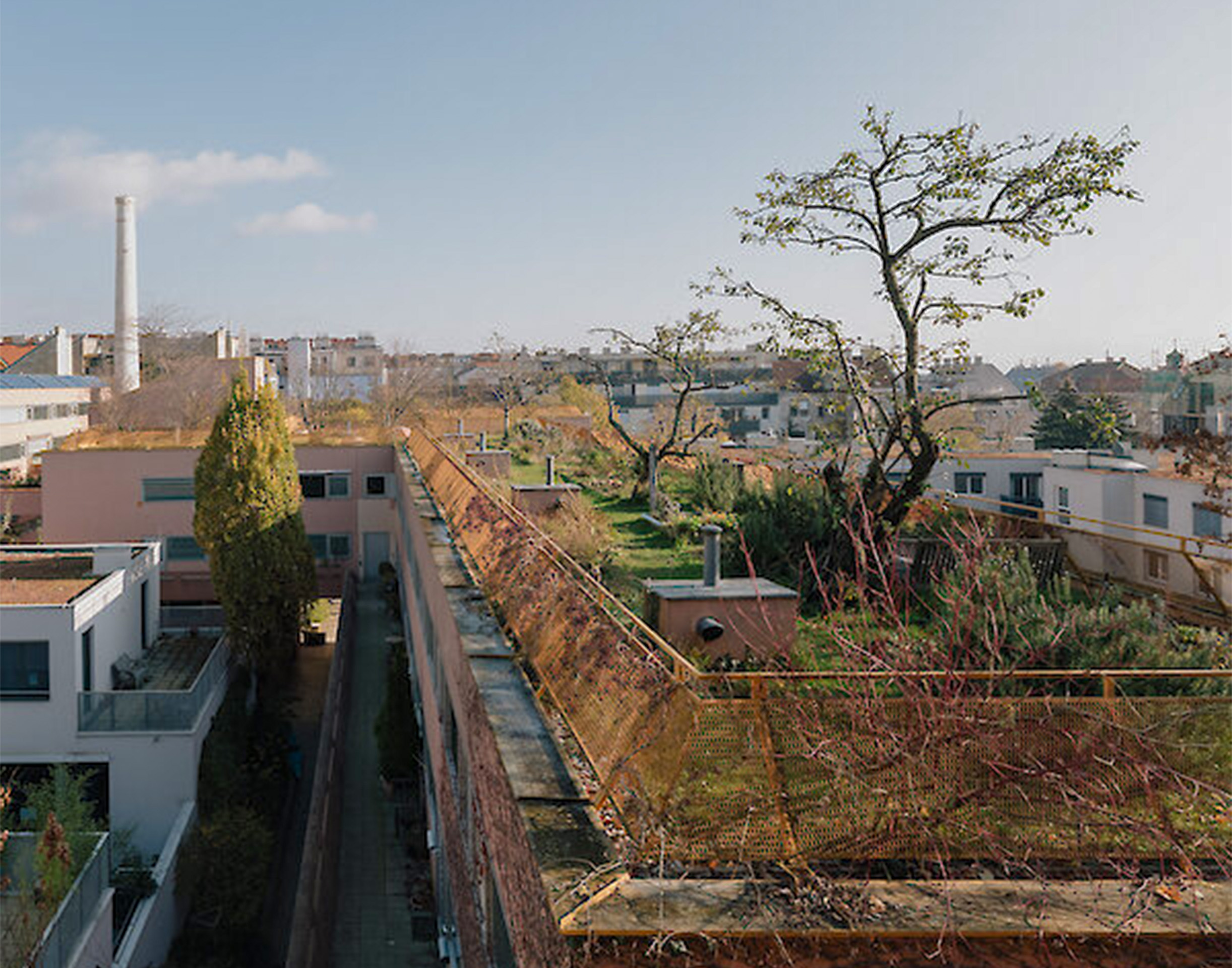 Vienne-Rome-Pavillon-Autriche-Venise-3.jpg