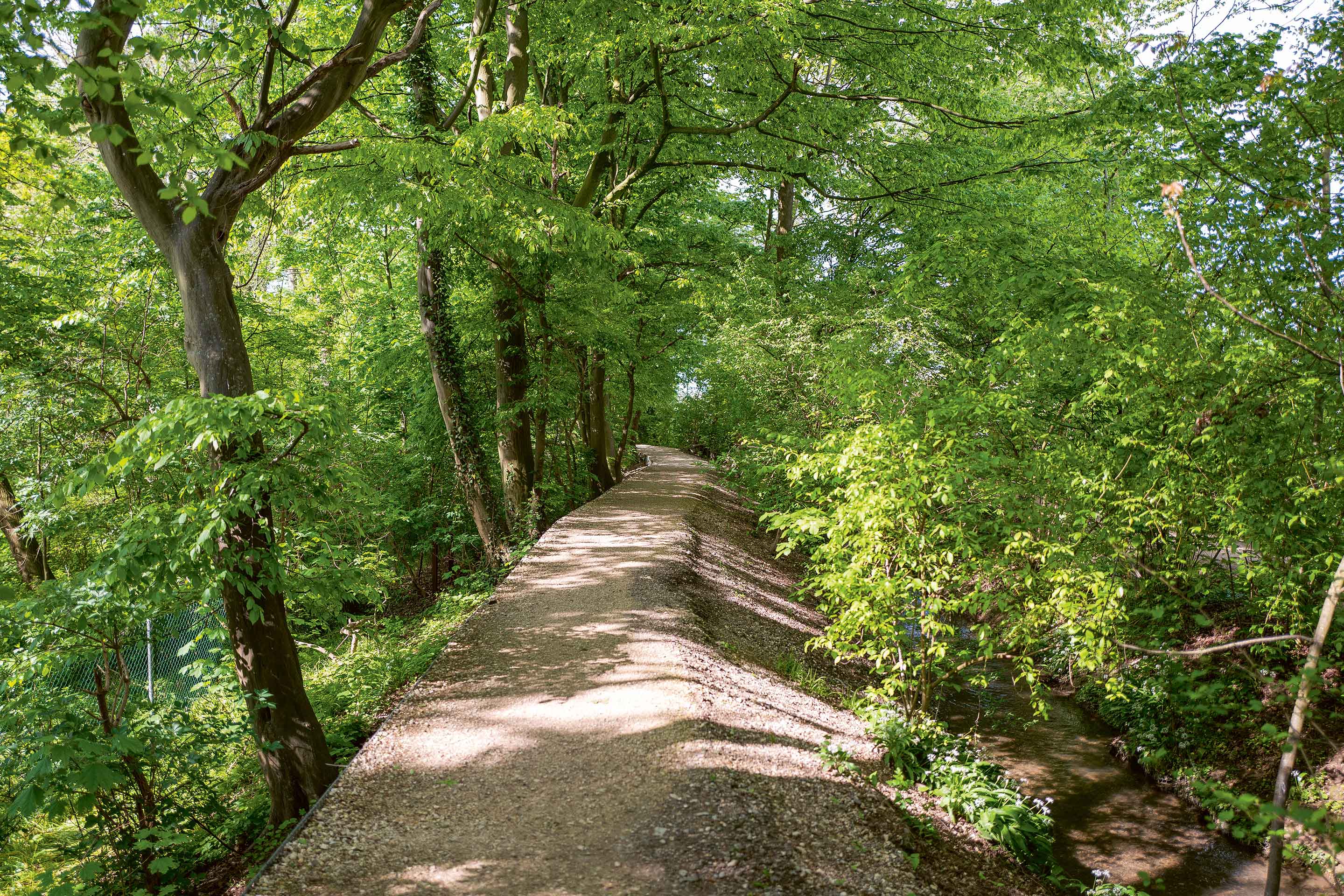Bachgrabenpromenade Allschwil