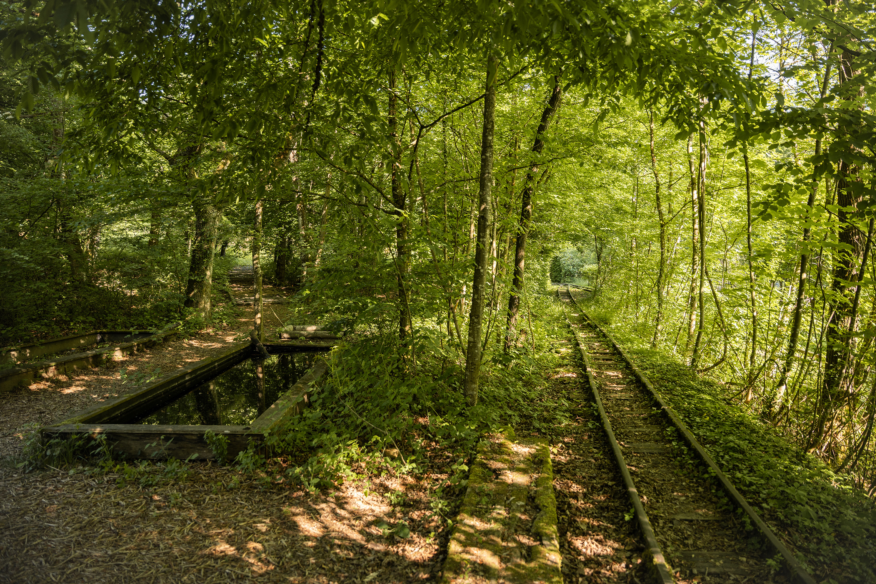In der Aargauer Naturwerkstatt Eriwis bleiben die Spuren der industriellen Vergangenheit sichtbar, aber die Natur hat sich das Gelände längst zurückerobert.