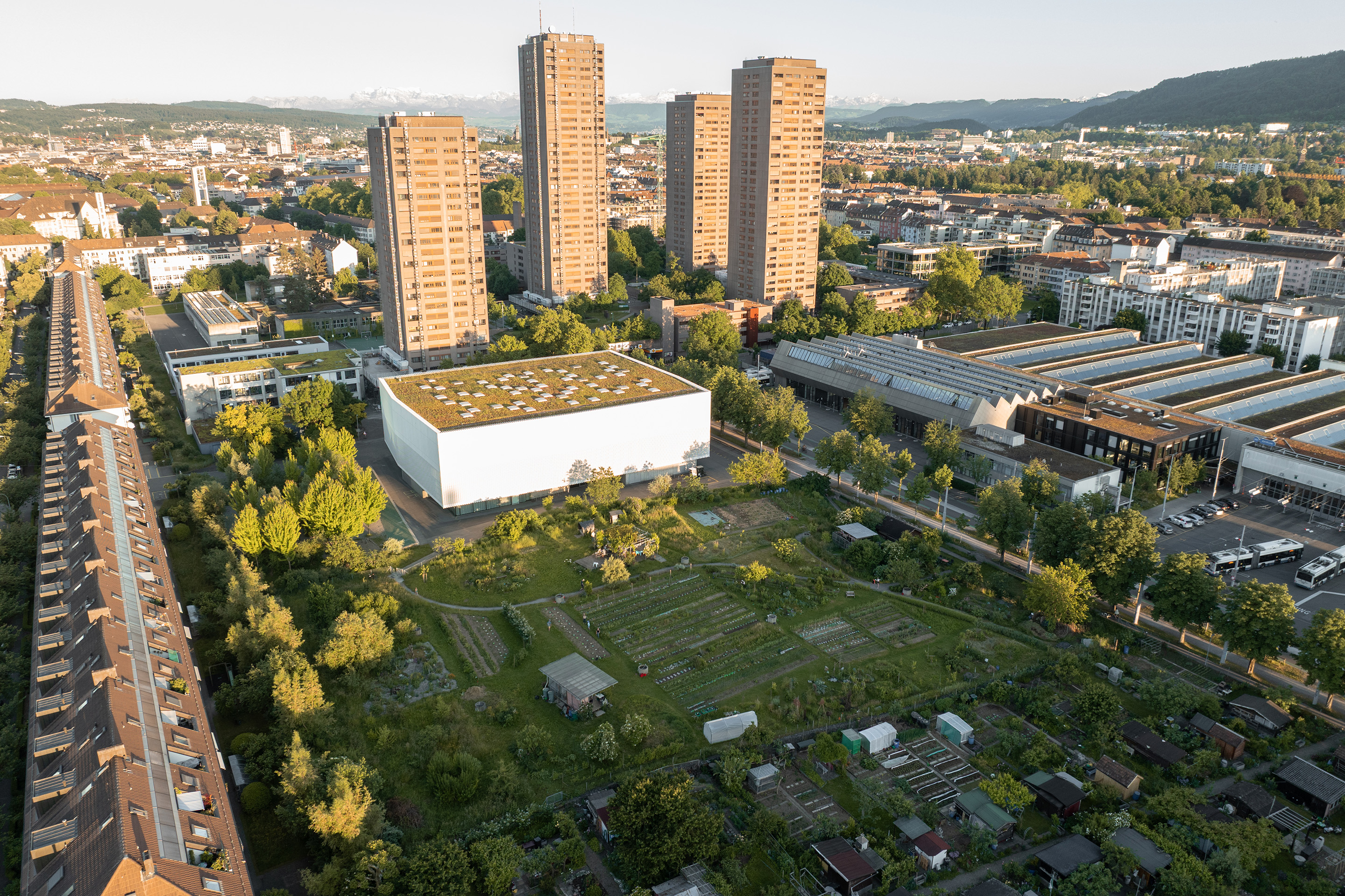 Der Anerkennungspreis der Binding Stiftung geht an den Quartiergarten Hard in Zürich, der als grüne Oase inmitten eines dicht bebauten Zürcher Stadtteils liegt.