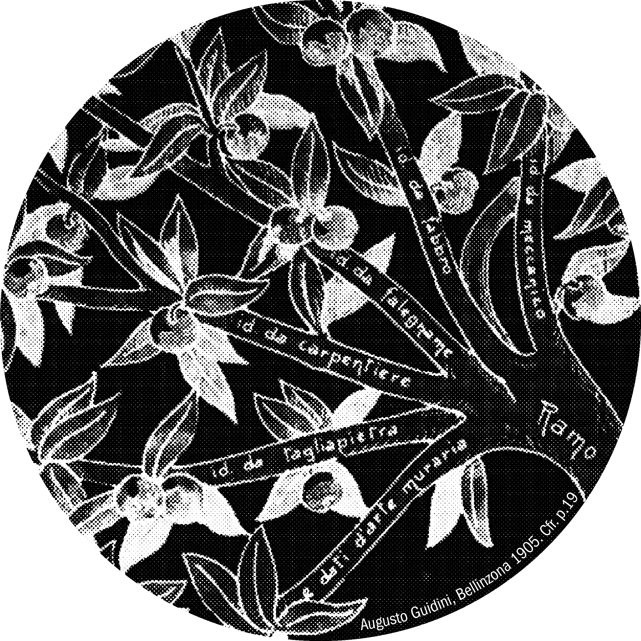 Editoriale-Pattern-Cerchio