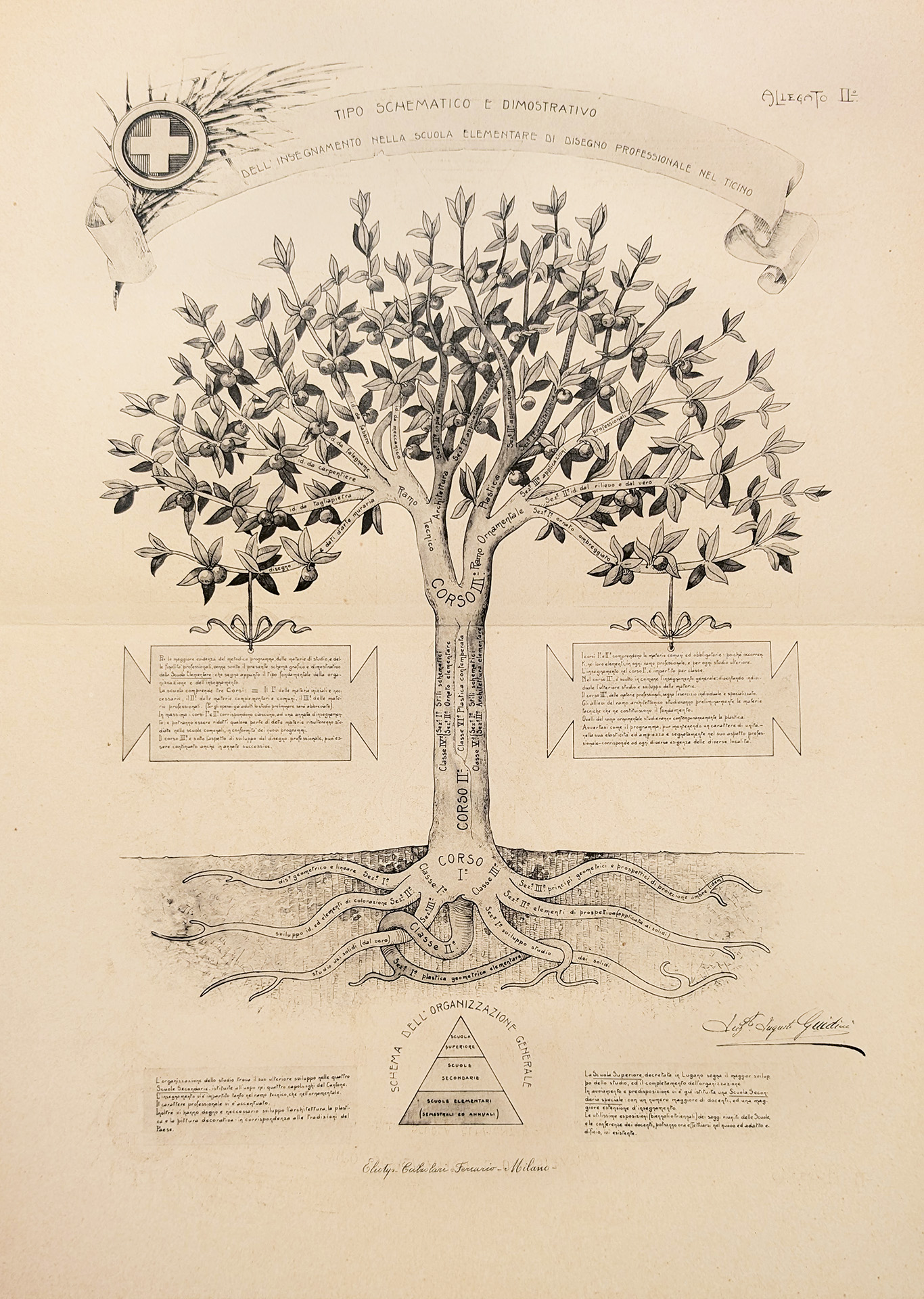 cardani-character-characters-school-tree