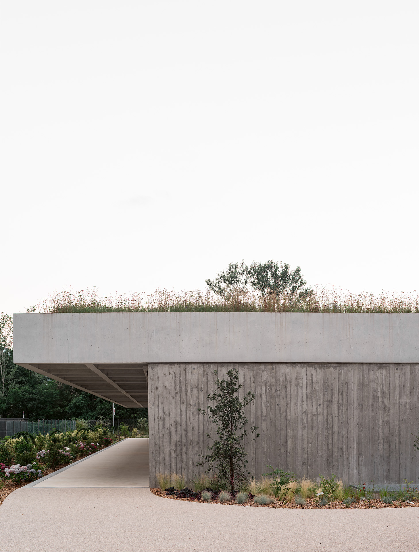 roof-to-build-relations-cappelletti-sestito-facades