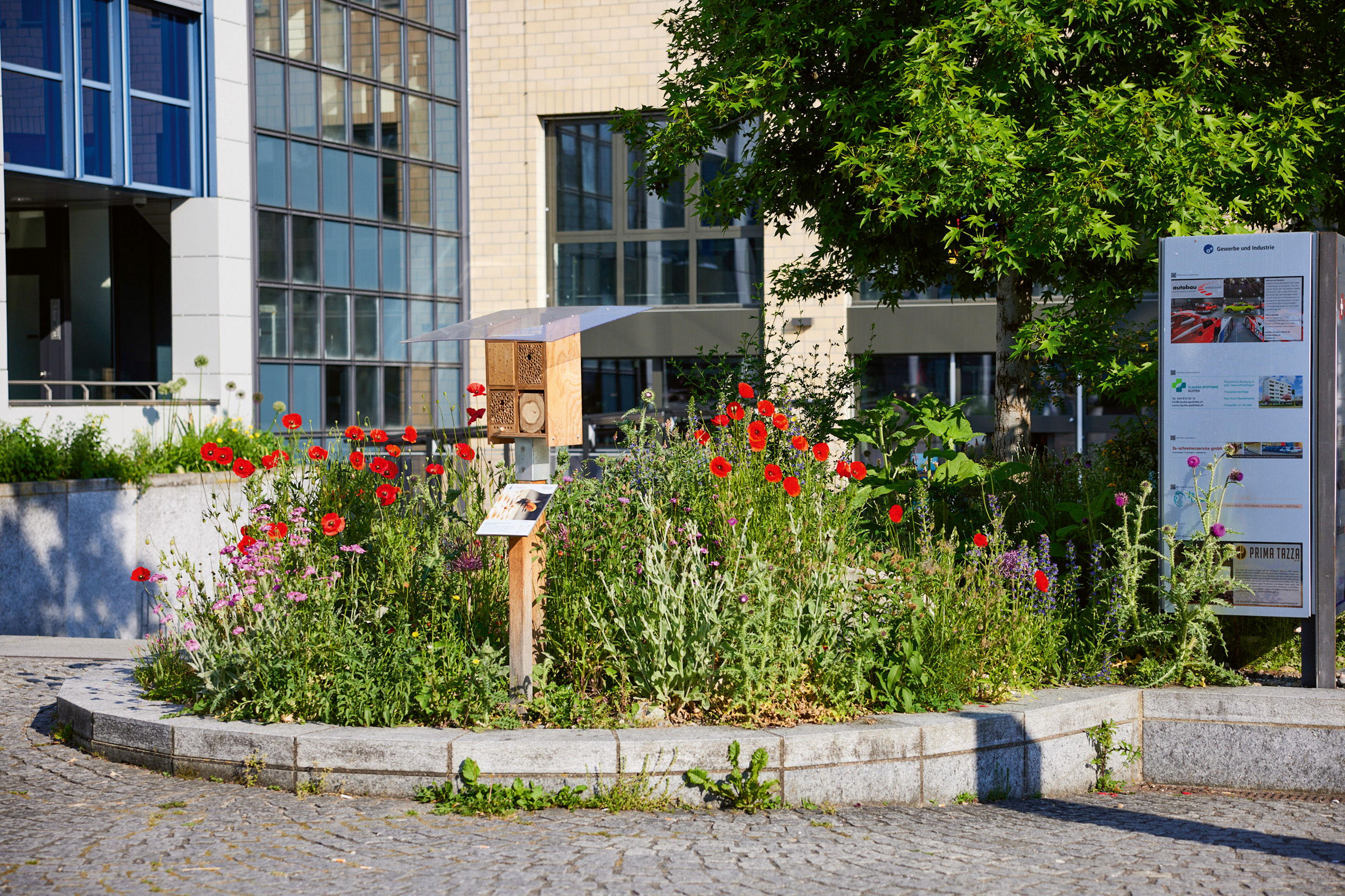 Auch kleine Flächen bieten Potenzial für die Biodiversität.