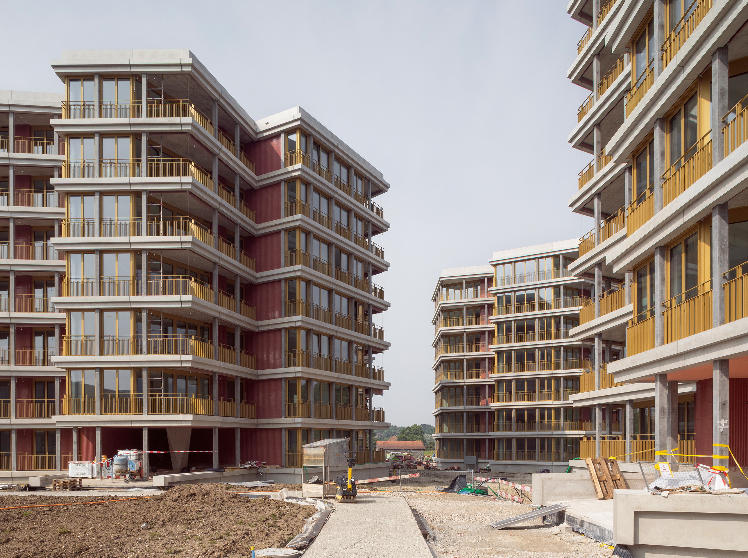 REAL-Messicoles-Dreier-Frenzel-7.jpg