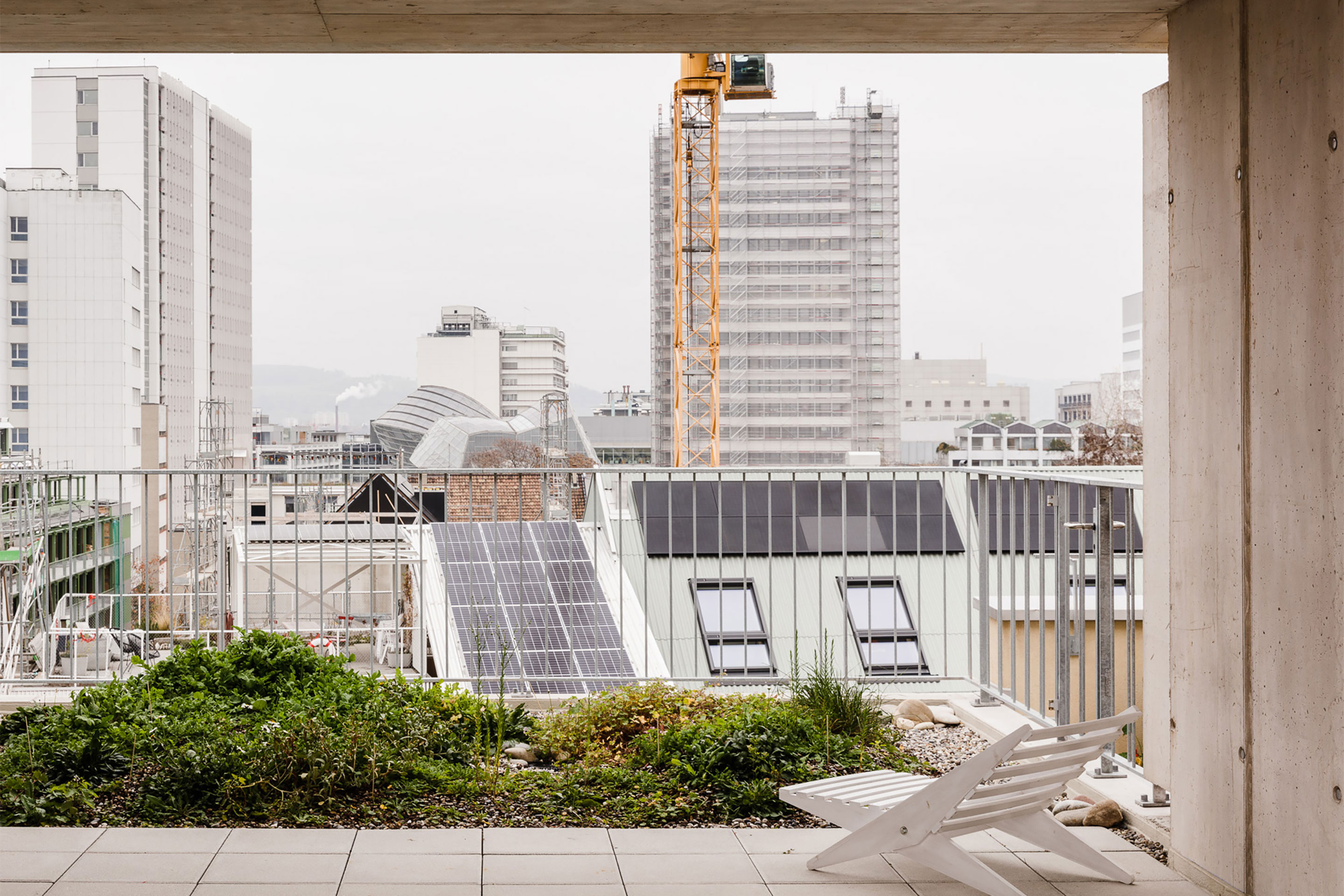 Aussicht von der gemeinschaftlichen Dachterrasse auf das Lysbüchel-Areal bis zum Novartis-Campus: Gegenüber die Wohnbauten Stadtkind, Abakus und Feld 4, dahinter das Weinlager und die Lyse-Lotte.