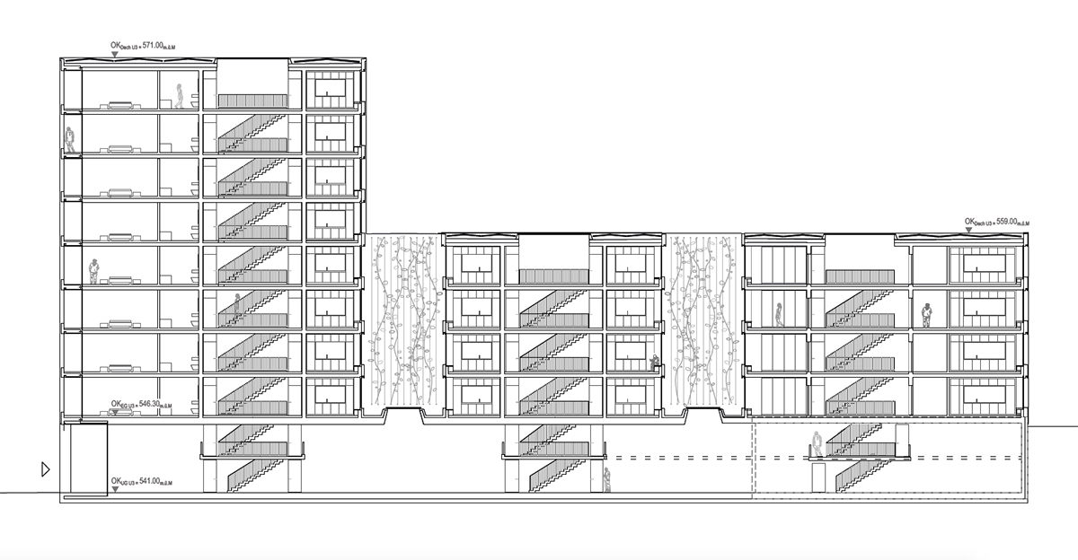 domus