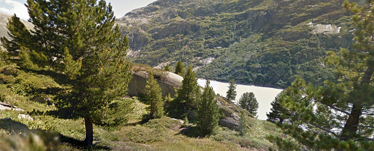 Der Arvenwald oberhalb des Grimselstausees ist Bestandteil der Moorlandschaft.