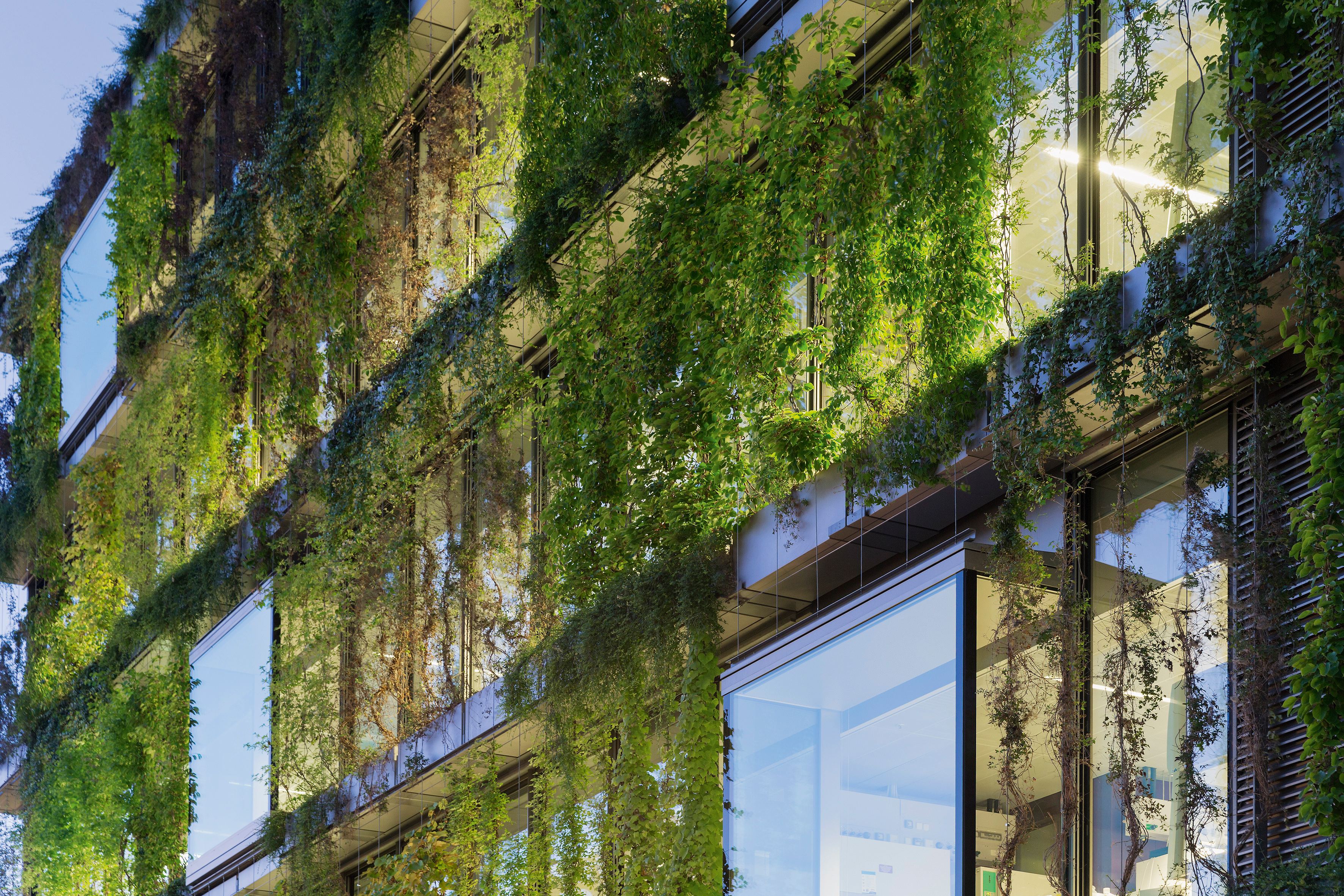 Das Gebäude «Virchow 16» im Novartis Campus, Basel fällt mit seiner fassadengebundenen Bepflanzung auf. Die Architektur beabsichtigt damit eine Verbindung zum angrenzenden Park und der Begrünung des Gebäudeatriums. (Mehr zum Projekt im Kasten am Ende des Artikels.)