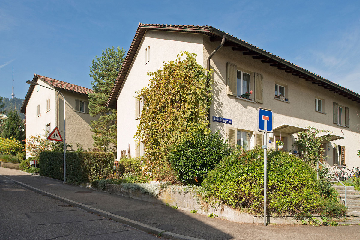 Ansicht der Siedlungsetappe an der Adolf-Lüchiger-Strasse mit Wohnbauten aus den 1950er Jahren; diese FGZ-Einheit hat der Stadtrat neu ins Inventar der kunst- und kulturhistorischen Schutzobjekte aufgenommen.