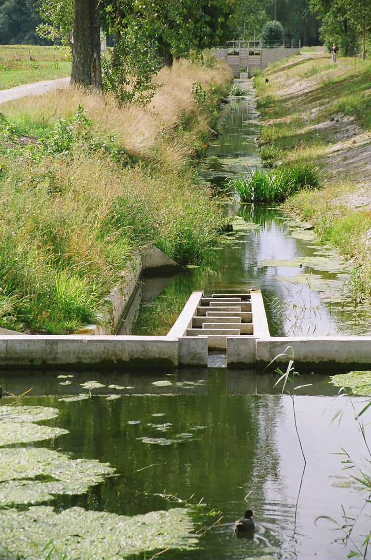 La réhabilitation du cours d’eau de la Seymaz, entre nature et artifice (()