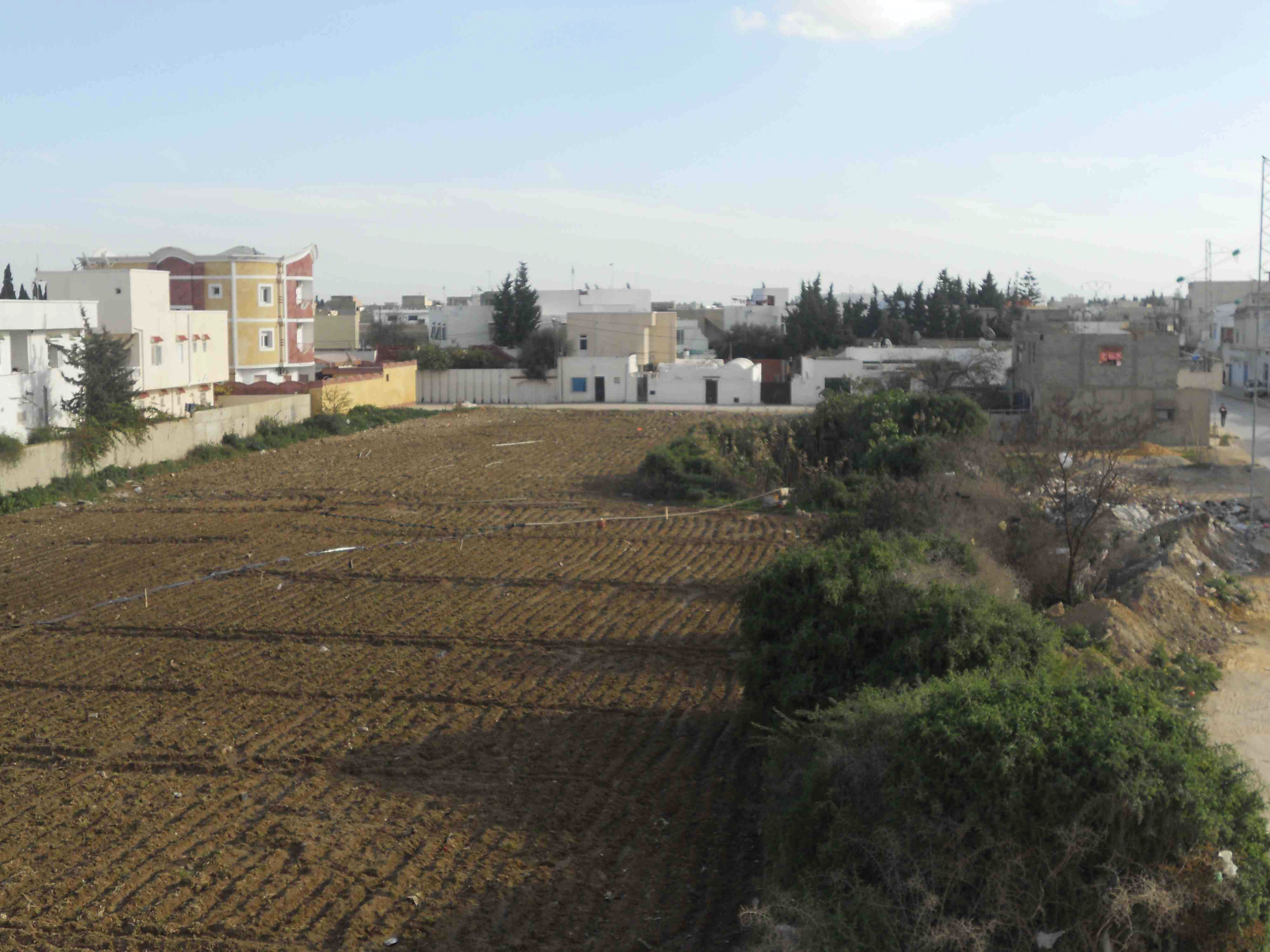 Parcelle agricole enclavée à La Soukra
