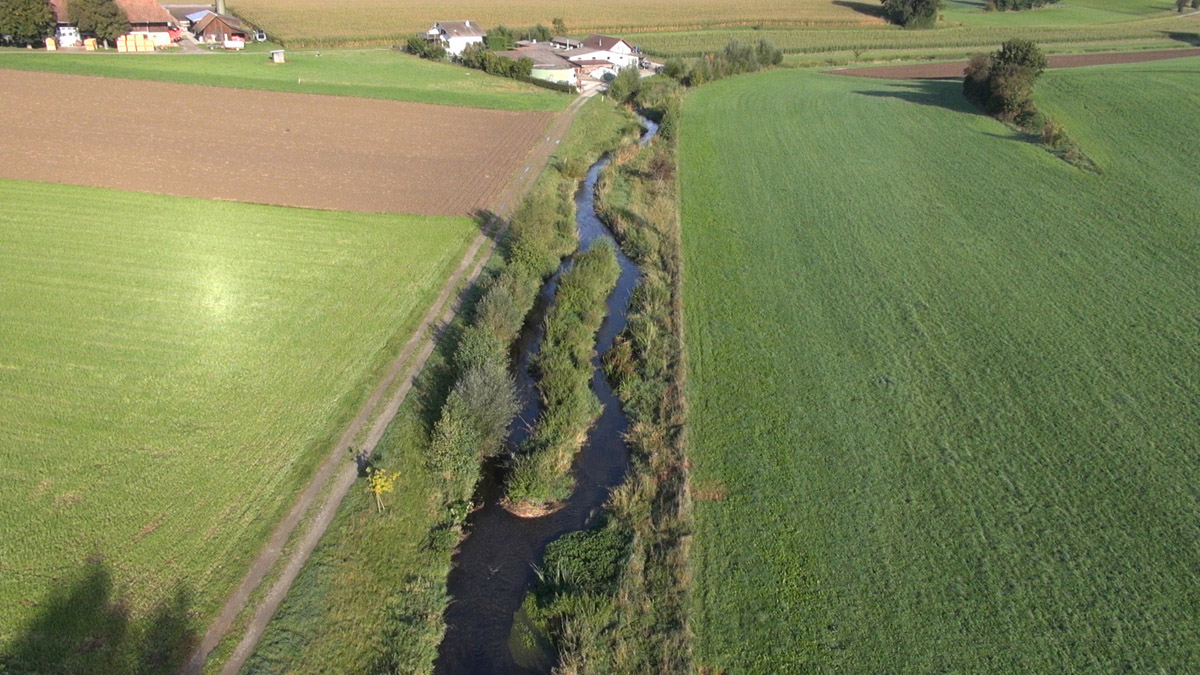 Renaturierter Abschnitt der Urtenen, ein mittelgrosser Nebenfluss der Emme: Dieser Zustand ist an den wenigsten Fliessgewässer in der Schweiz anzutreffen