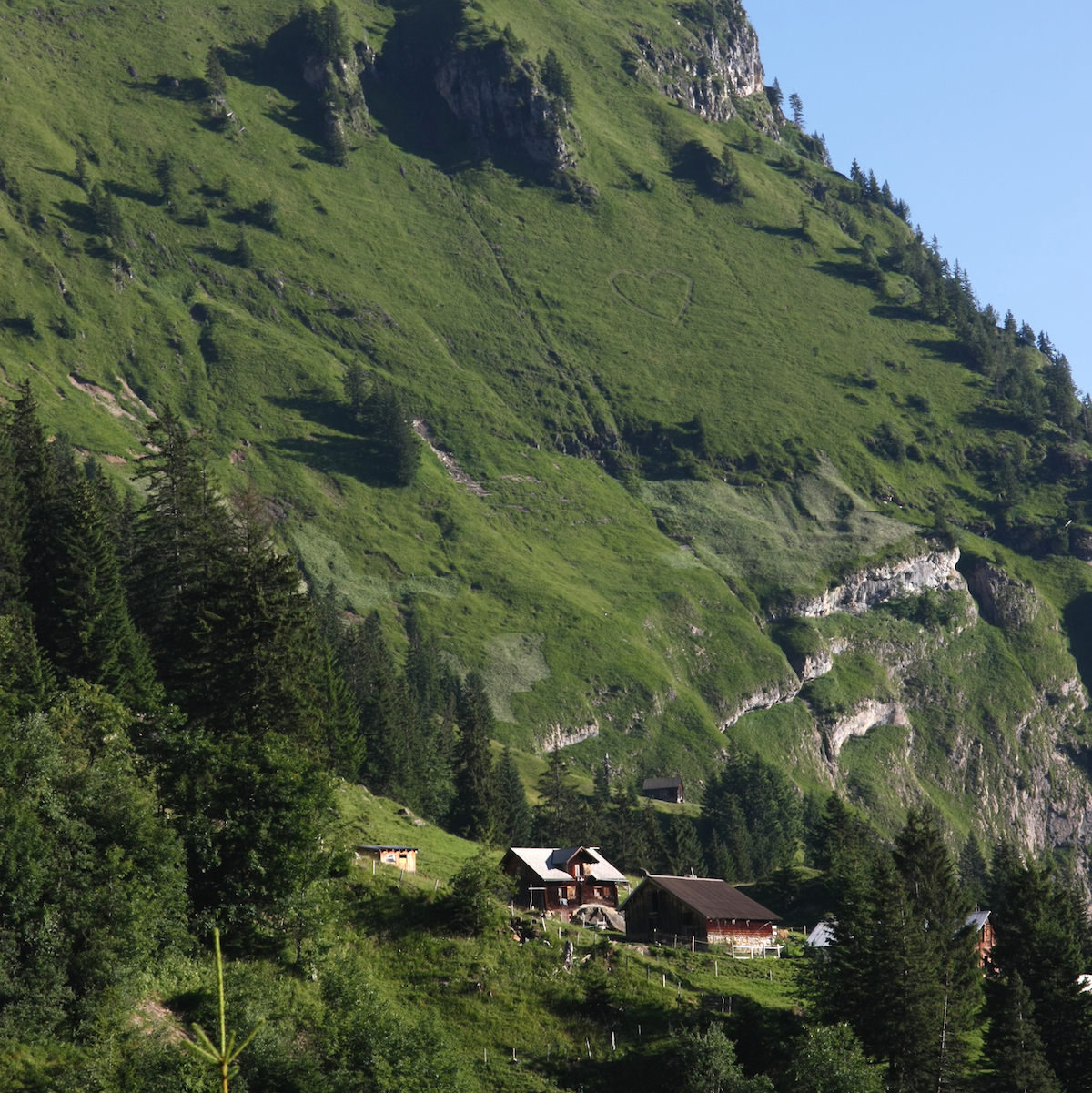 Das Isenthal liegt hoch über dem Urnersee und war früher nur zu Schiff oder zu Fuss erreichbar. Rund 540 Menschen leben noch hier; rund ein Drittel arbeitet in der Land- und Forstwirtschaft. Die ganzjährig bewohnten Bauernhöfe sind weit verstreut und reichen bis auf 1600 m ü. M. Auf den steilen Planggen werden rund 60 Hektaren Wildheuflächen bewirtschaftet. Im Schnitt wird jede Parzelle alle drei Jahre geschnitten. Als Wildheuen bezeichnet man den Schnitt von ungedüngten Bergwiesen in Lagen über 50