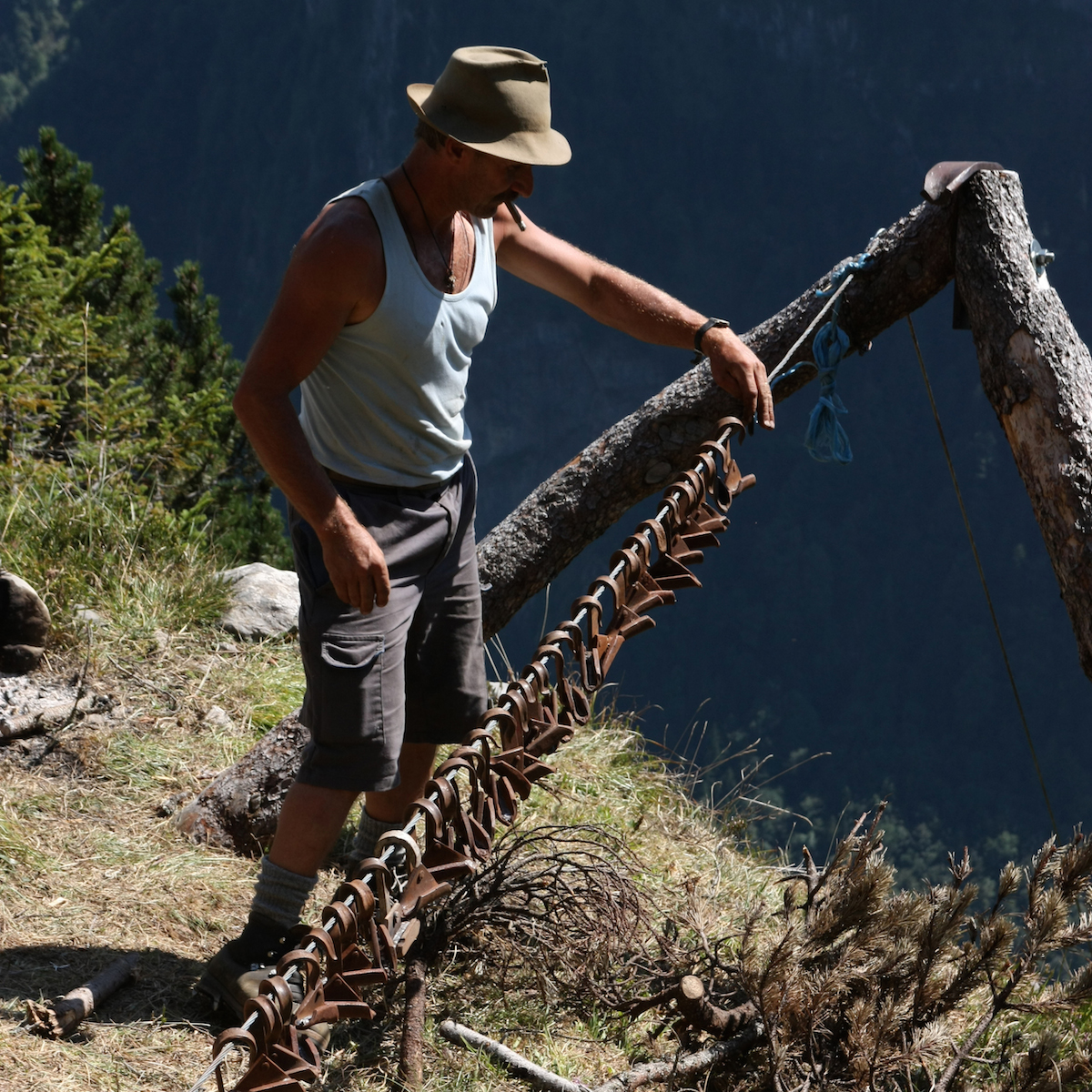 Der Zugang zu den Wildheuflächen war historisch strikt und detailliert geregelt: Mancherorts bestimmte das Los über die Zuteilung der einzelnen Wiesen. Alternativ dazu existierte ein System, das auf der Freigabe der Wiesen auf ein bestimmtes Datum hin basierte. Sobald es dämmerte, war es den Heuern erlaubt, das von ihnen auserwählte Wiesenstück anzuzeichnen. Dies geschah mittels Abmähen kleiner Flecken. Weil es auf die besten Flächen nicht selten mehrere Anwärter absahen, barg dieses Vergabeprozeder