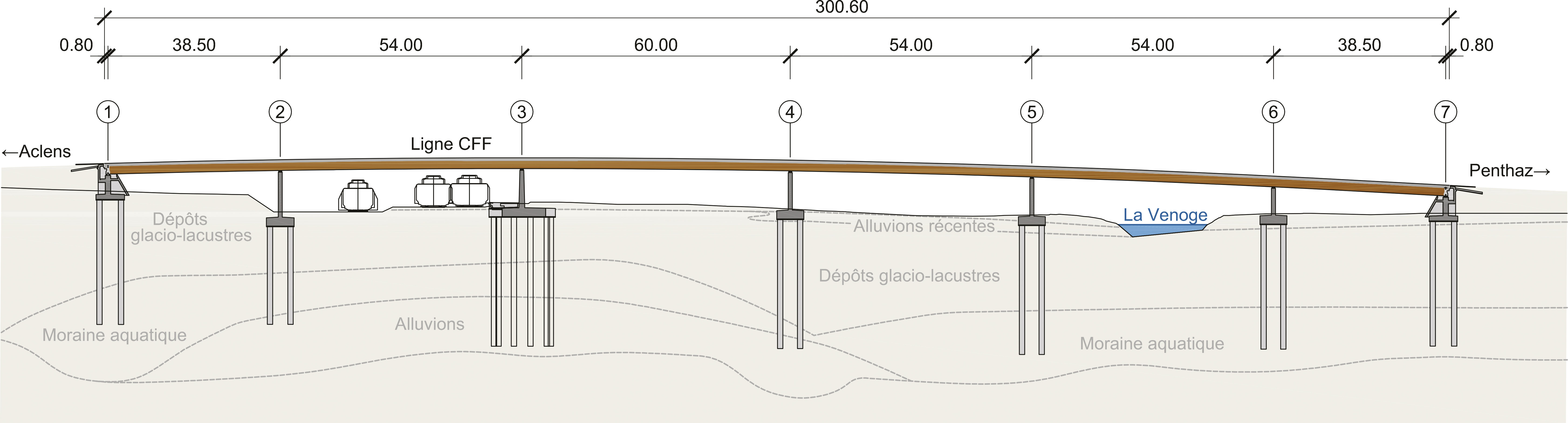 Coupe longitudinale