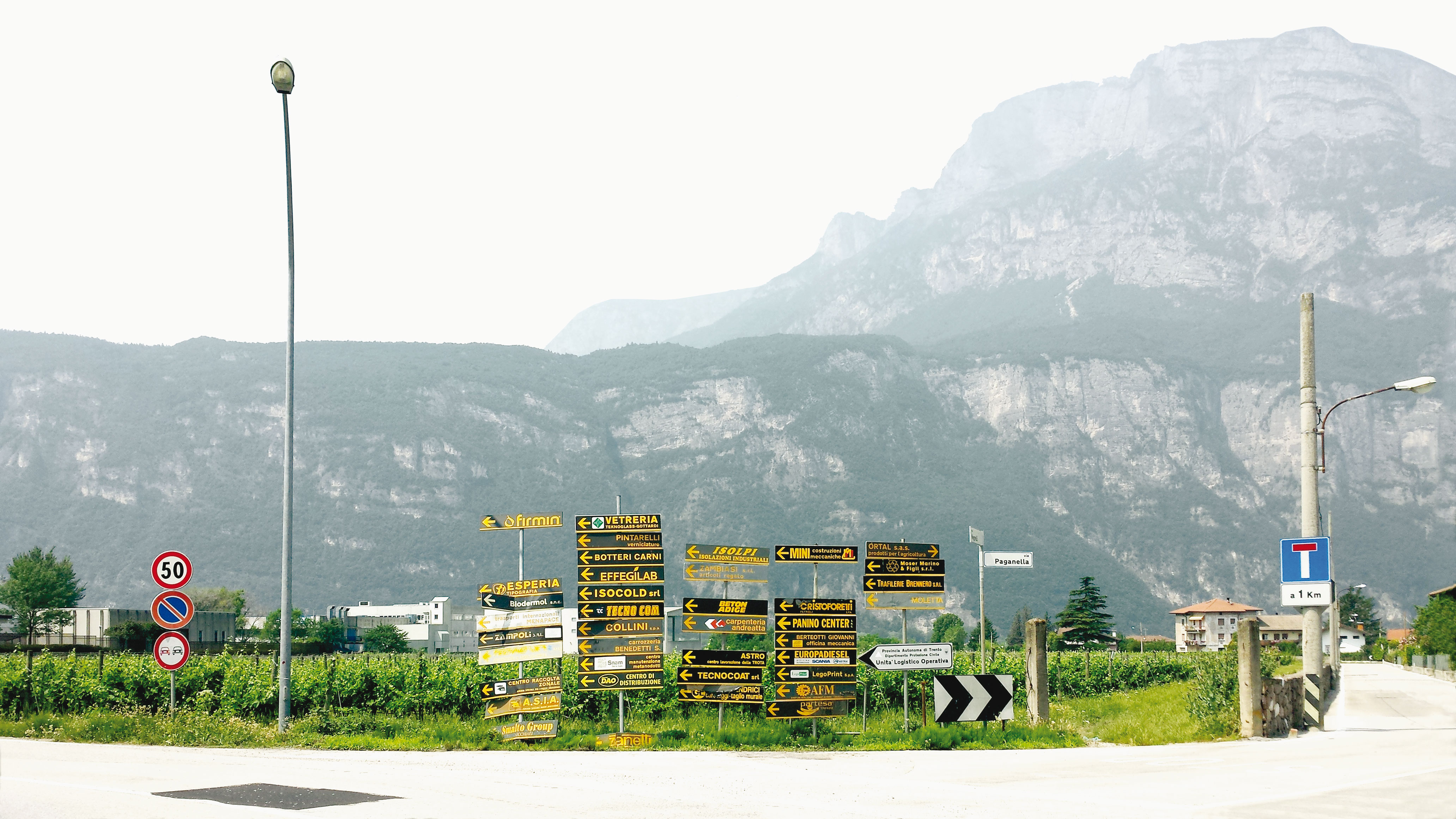 Au nord de Trente, au sud de Bolzano. La plaine du Val d’Adige à Lavis, dans la région ­autonome du Trentin-Haut-Adige en Italie.