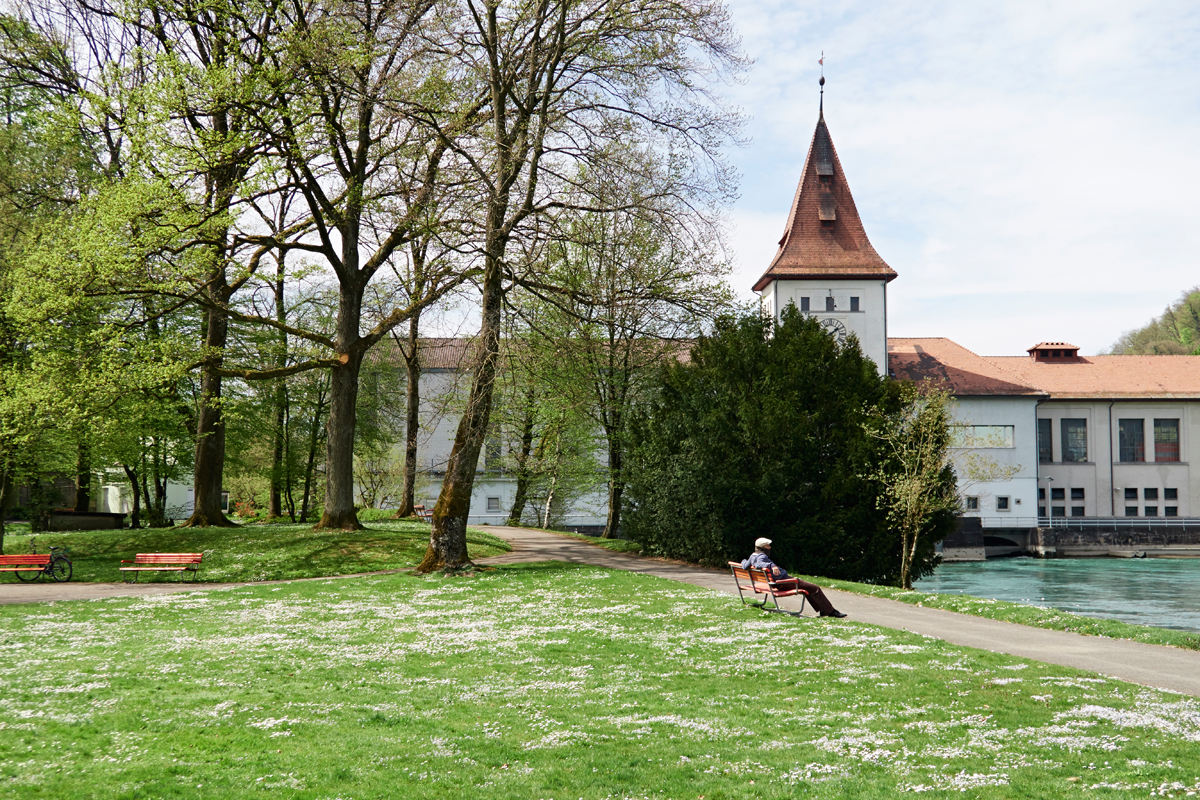 Kanal-Insel / IBA-Insel, Grien, Aare / AG, SO