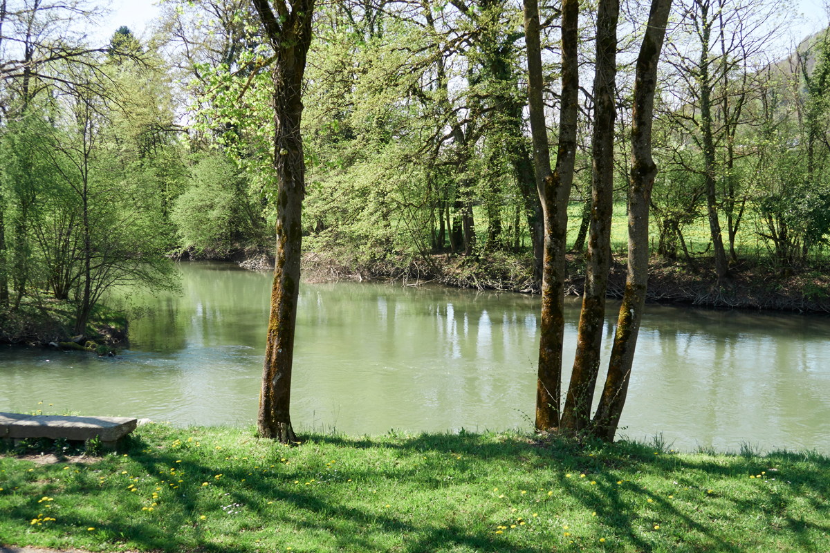 Auenschutzpark-Insel /Stroppelinsel, Limmat, Aare / AG