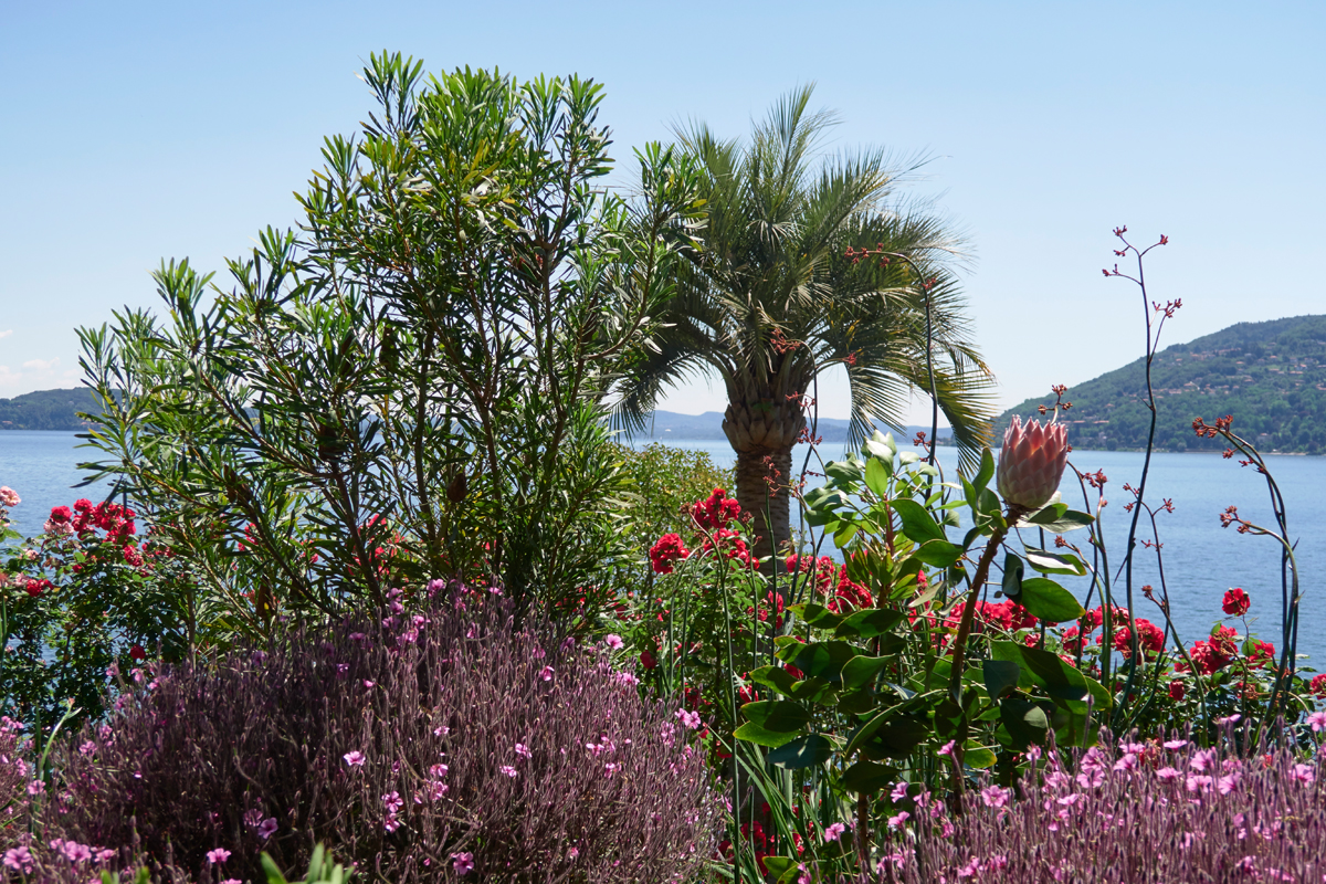 Puppen-Insel / Isola Madre, Lago Maggiore / IT