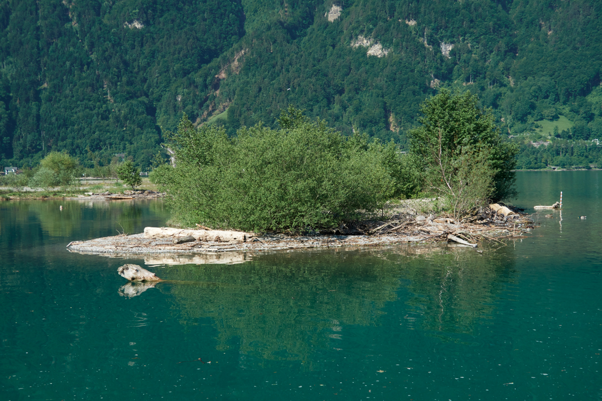 Aushub-Inseln / Neptun und Lorelei, Reussdelta, Urnersee / UR