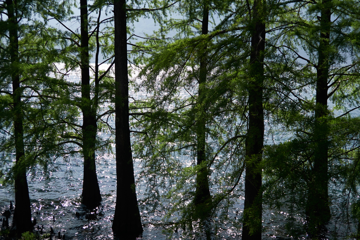 Paradies-Inseln / Brissago-Inseln, Lago Maggiore / TI
