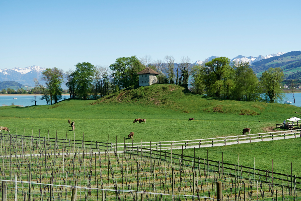 Insel der Stille / Ufnau, Zürichsee / SZ