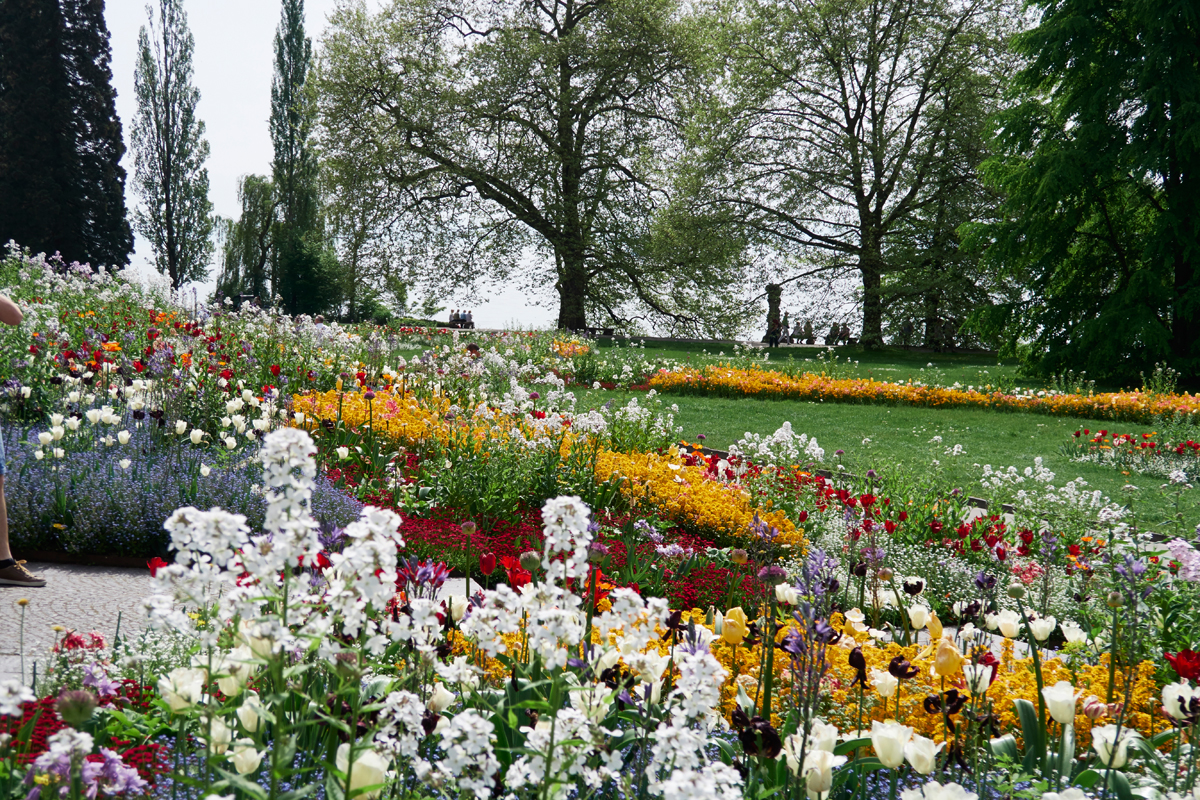 Blumen-Insel / Mainau, Bodensee / DE