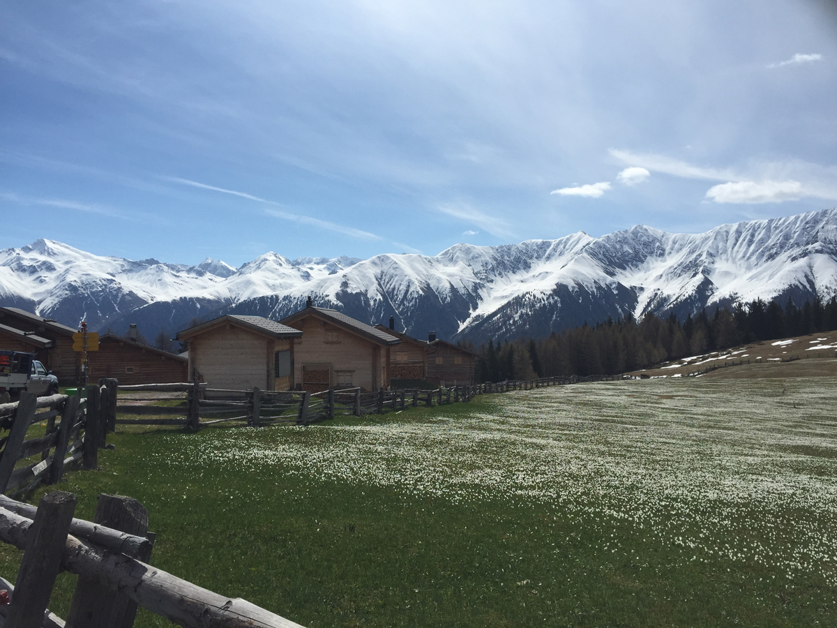 Maiensäss Wiesen oberhalb von Davos nach dem Wiederaufbau.