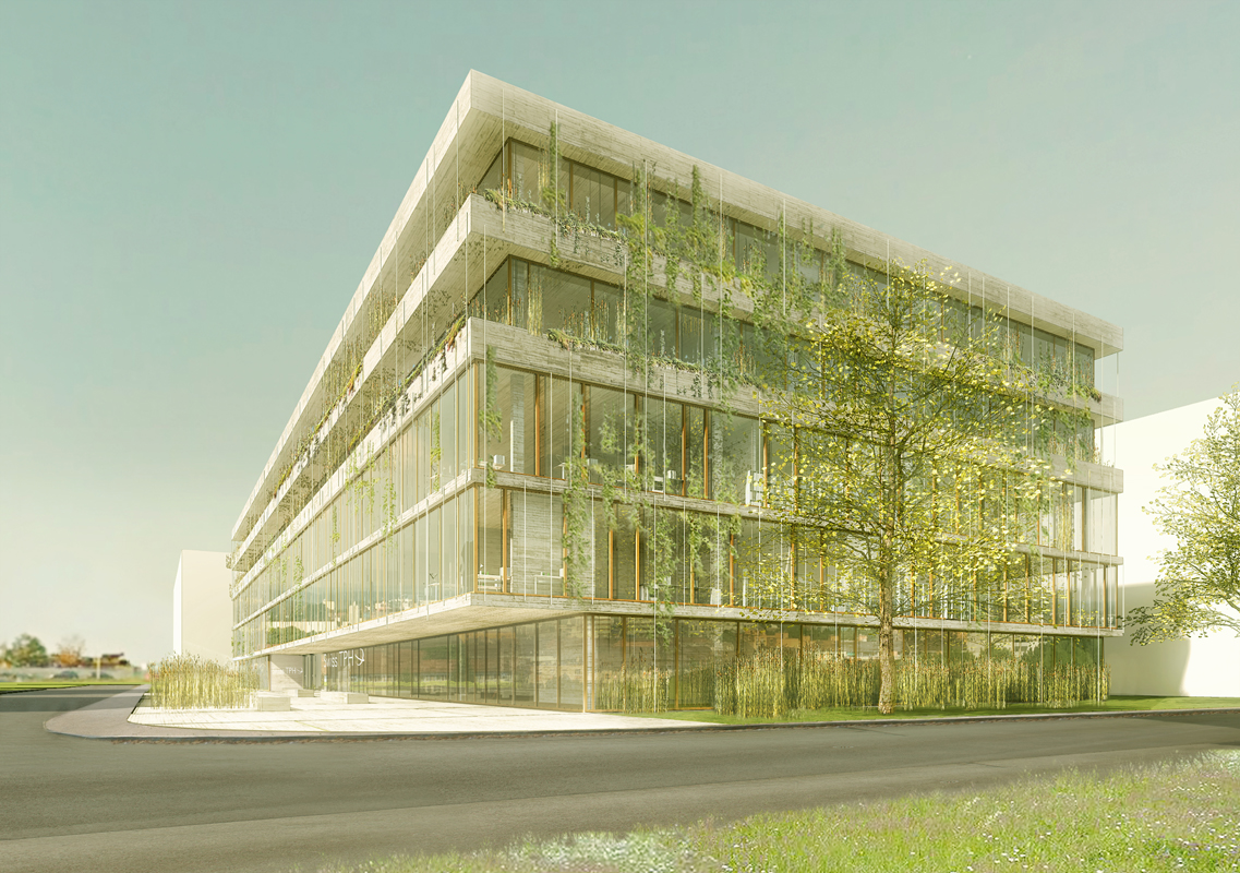 1. Preis Kunz und Mösch: Betonbänder, Holzfenster und viel Grün.