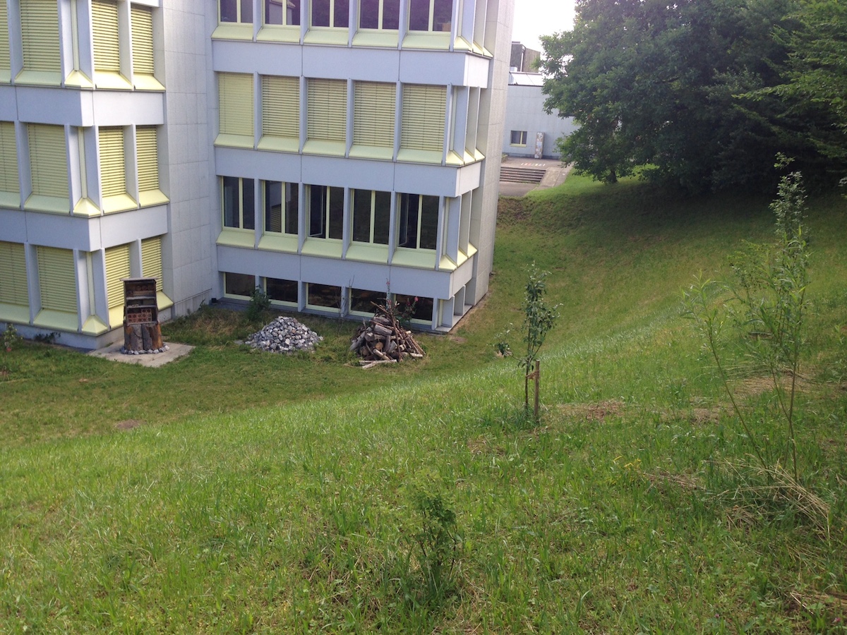 Die Umgebungsgestaltung der Schulhäuser Kopfholz