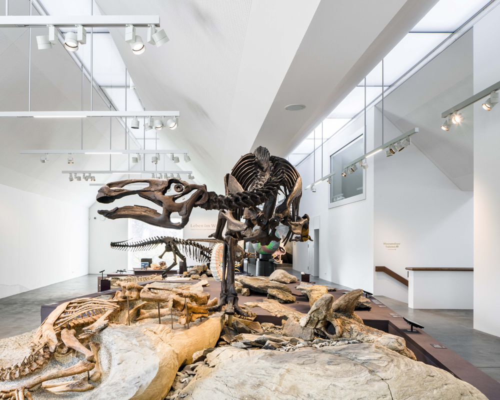 Dauerausstellung in der obersten Ebene mit dem imposanten Dinosaurierskelett.