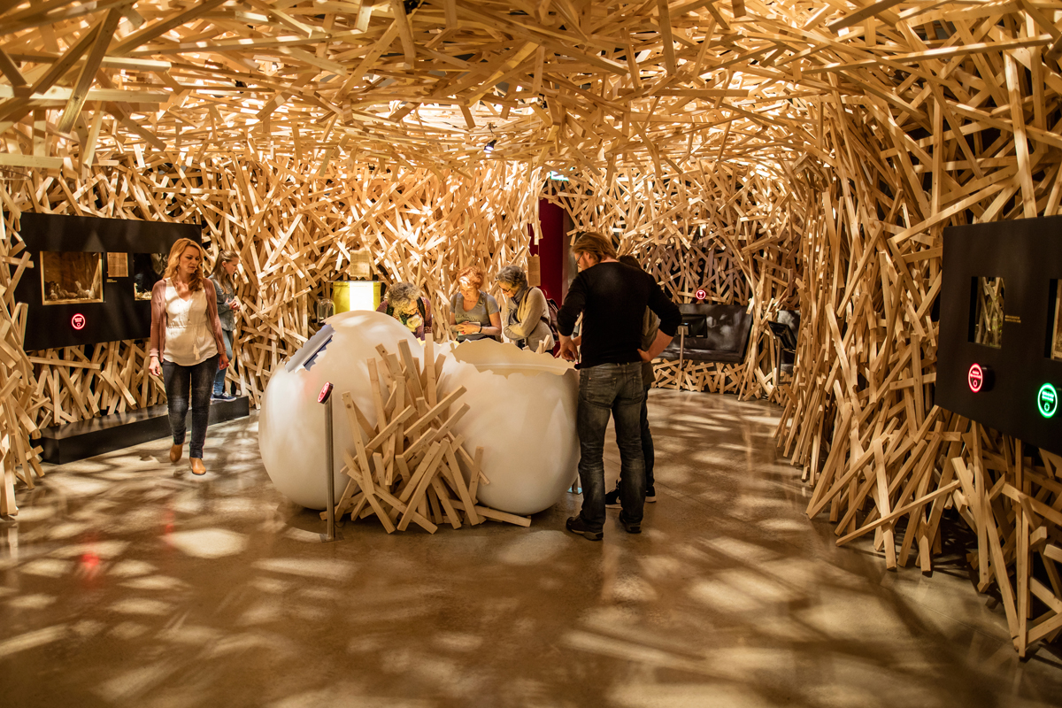 Auszeichnung II: Besuchszentrum Vogelwarte Sempach – europäischer Nachhaltigkeitspreis 2017 (Ausstellungsmacher: Steiner Sarnen; Architektur: mlzd Biel)
