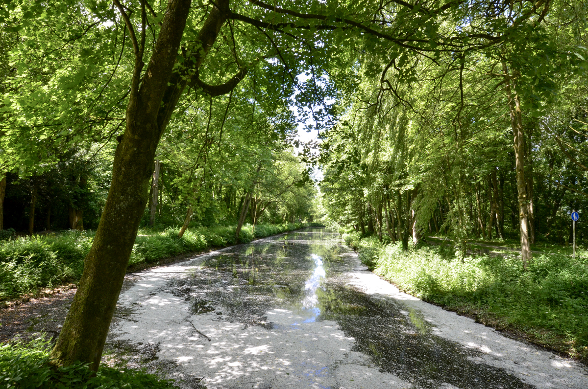 Volkspark Rüstringen, Wilhelmshaven: Die Promenade und der Kanal laden auch heute noch zum Spazieren ein. (2017)