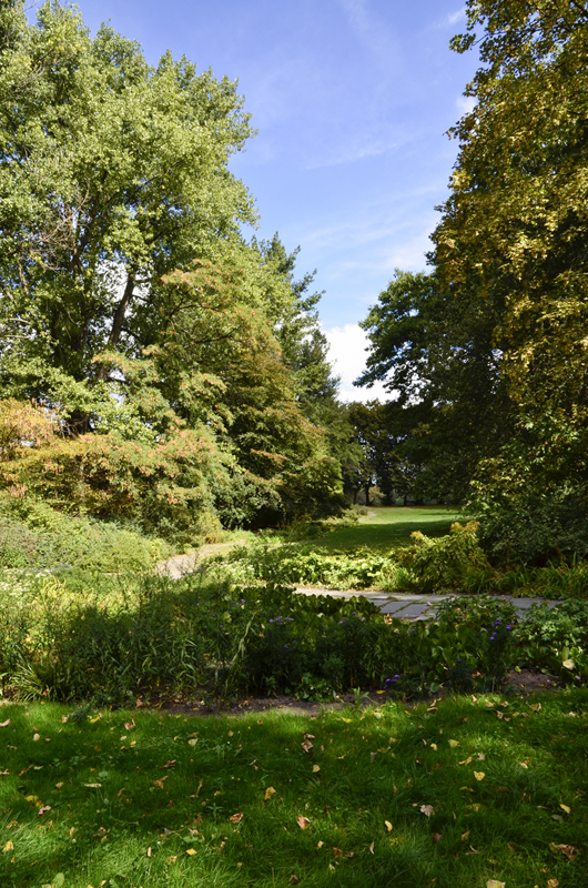 Volkspark Mariannenpark, Leipzig: Geschwungene Wege führen an Zierbeeten vorbei (2016)