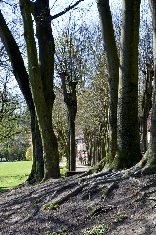Garten Max Emden, Hamburg: Die groben Strukturen der Gartenanlage sind heute noch sichtbar. (2017)