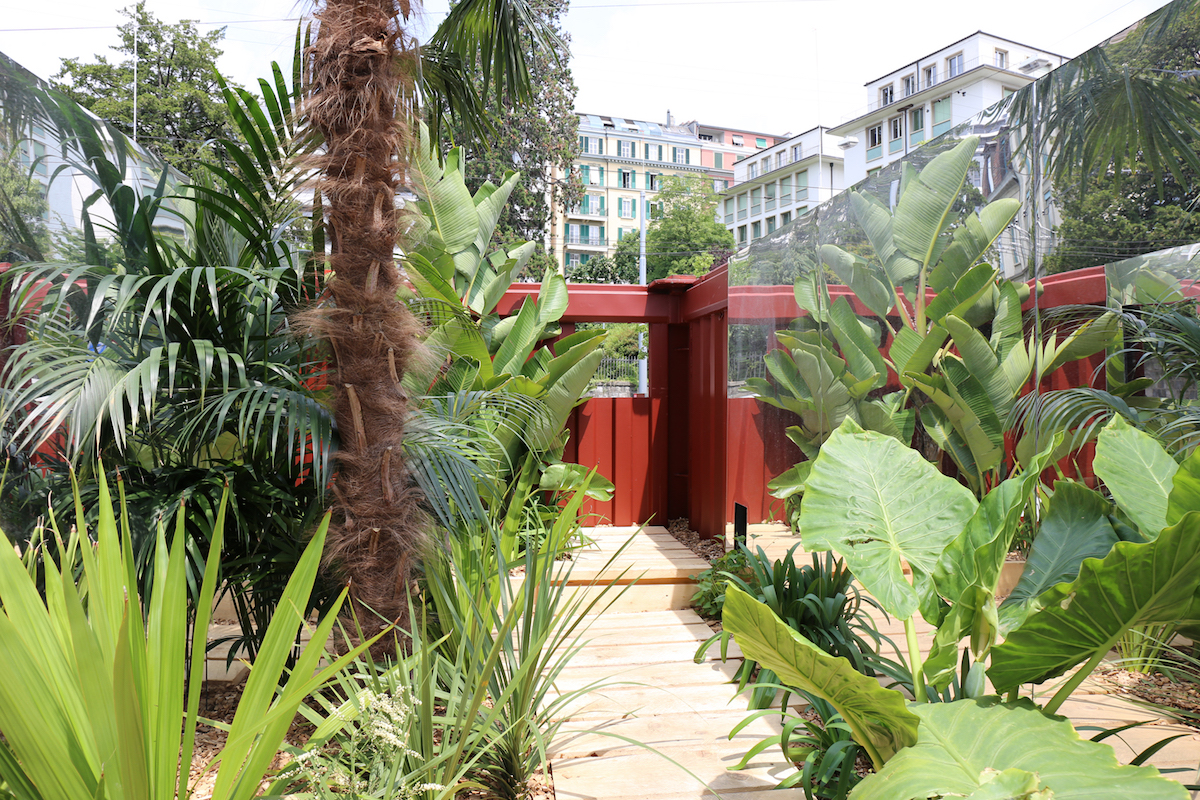Installation der Ausgabe 2014: Botanic box – ein Container voll Subtropen, gelandet an der Avenue de la Gare in Lausanne .