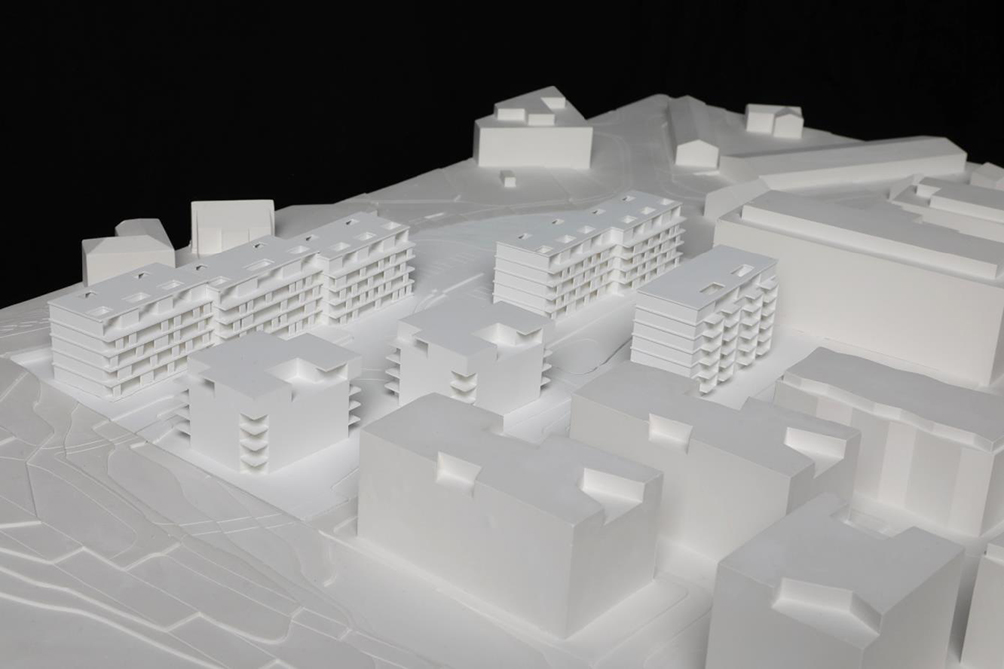 Projekt Nr. 1: «Baumschlager», Scheuner-Mäder Architekten.