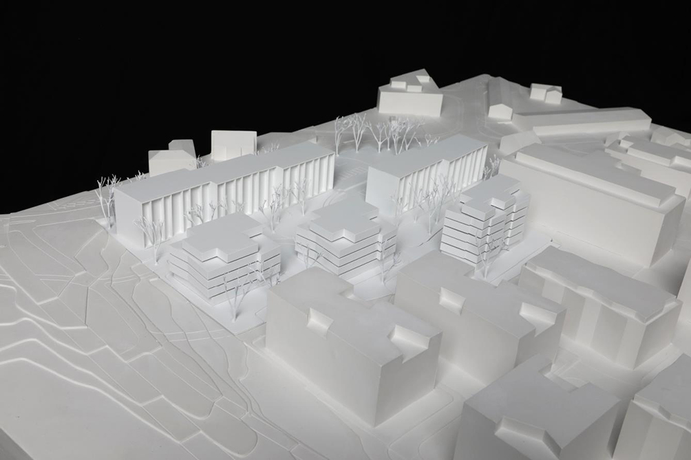 Projekt Nr. 7: «Wood y Allen», ro.ma.roeoesli &amp; maeder, Luzern.