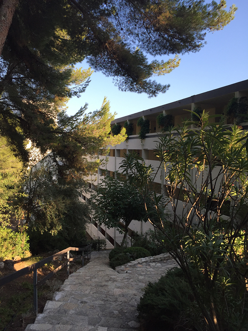 In der Ferienanlage in Bandol wird die Rückseite des am Meer liegenden Riegels Athéna-Port von tropischer Vegetation flankiert.