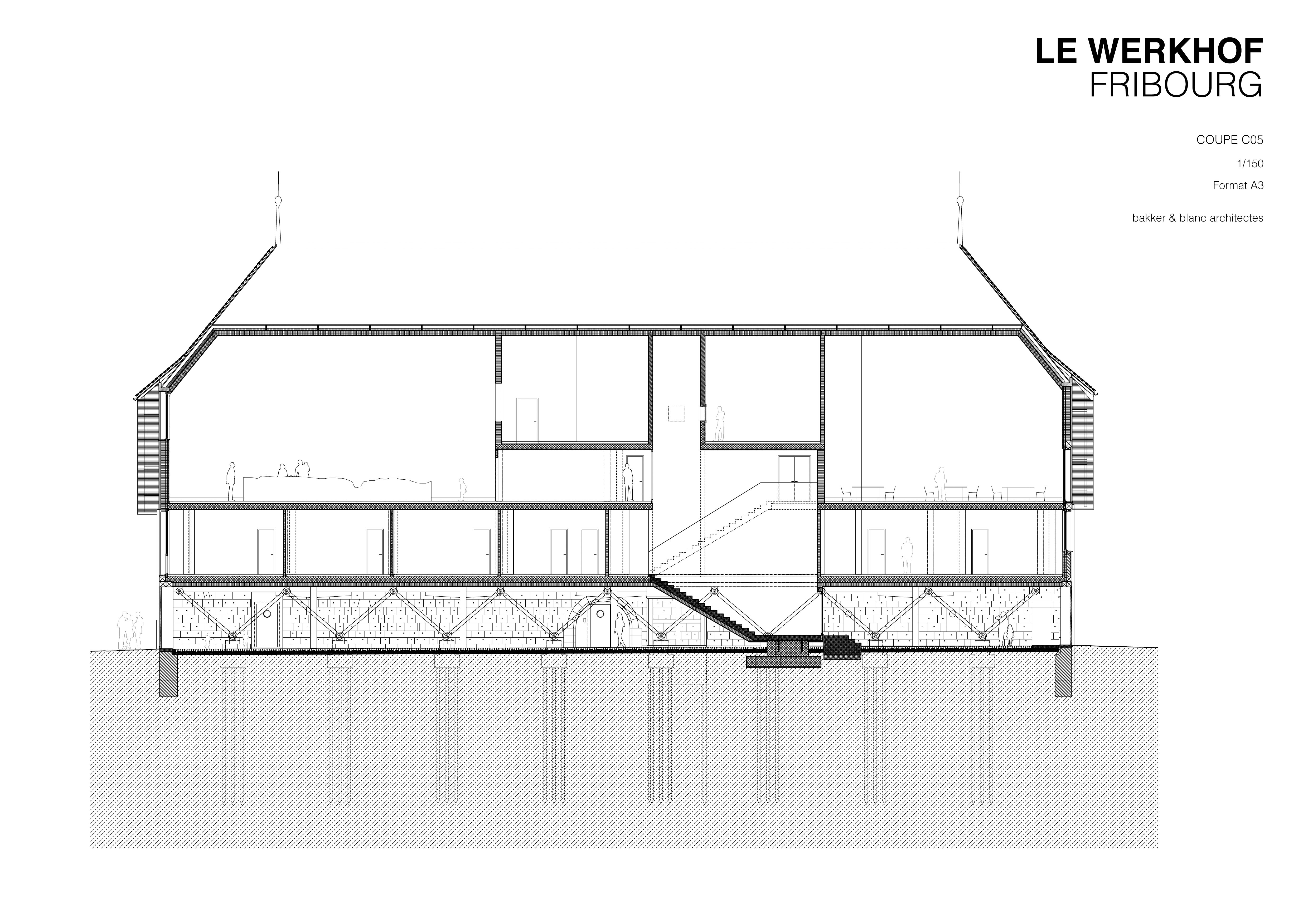 Coupe longitudinale