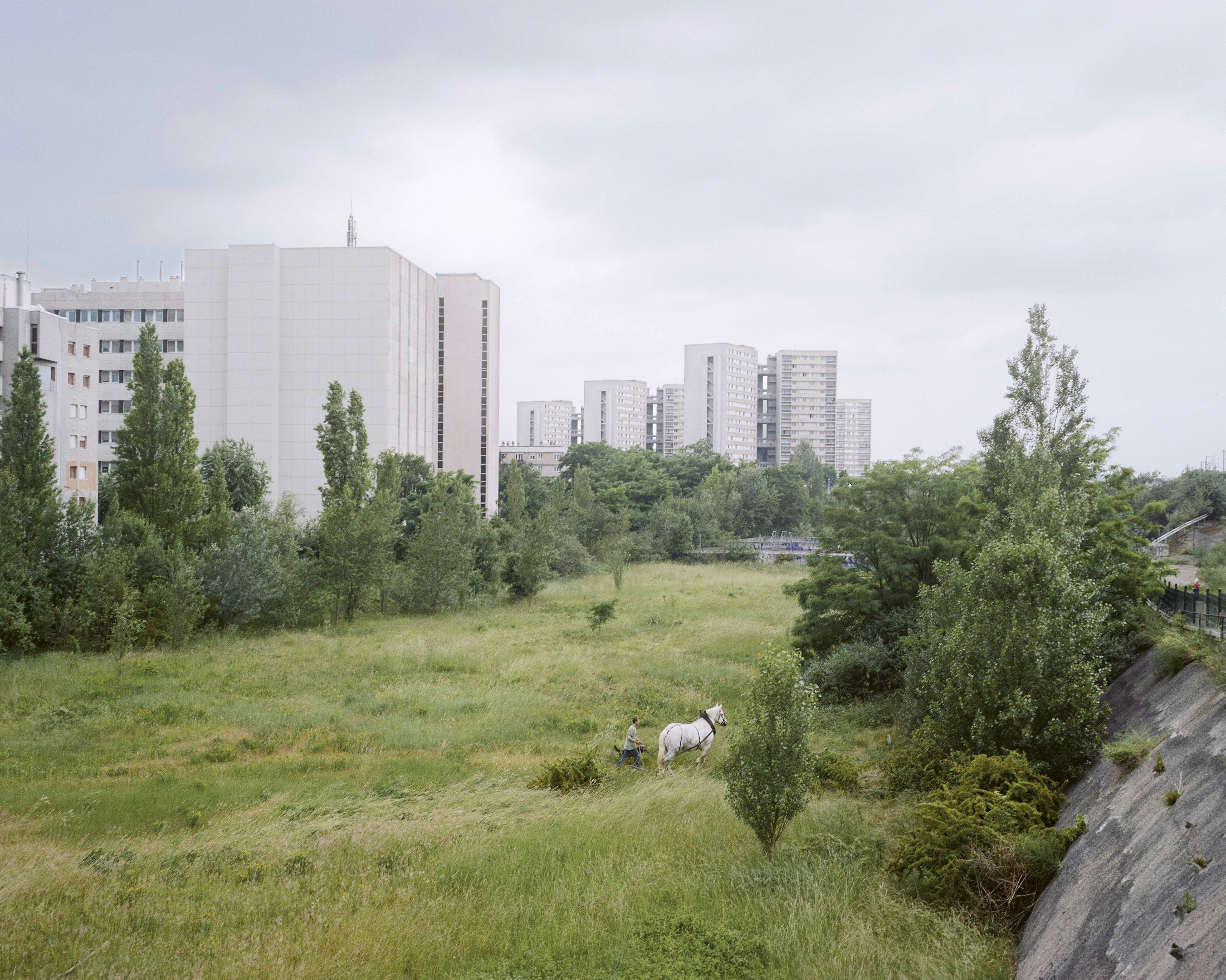 Cyrille Weiner, série La fabrique du pré, 2004–2014 Le cheval de trait de Roger des Près sur le Grand Axe, Nanterre, 2008